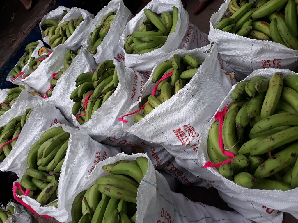 Banano verde