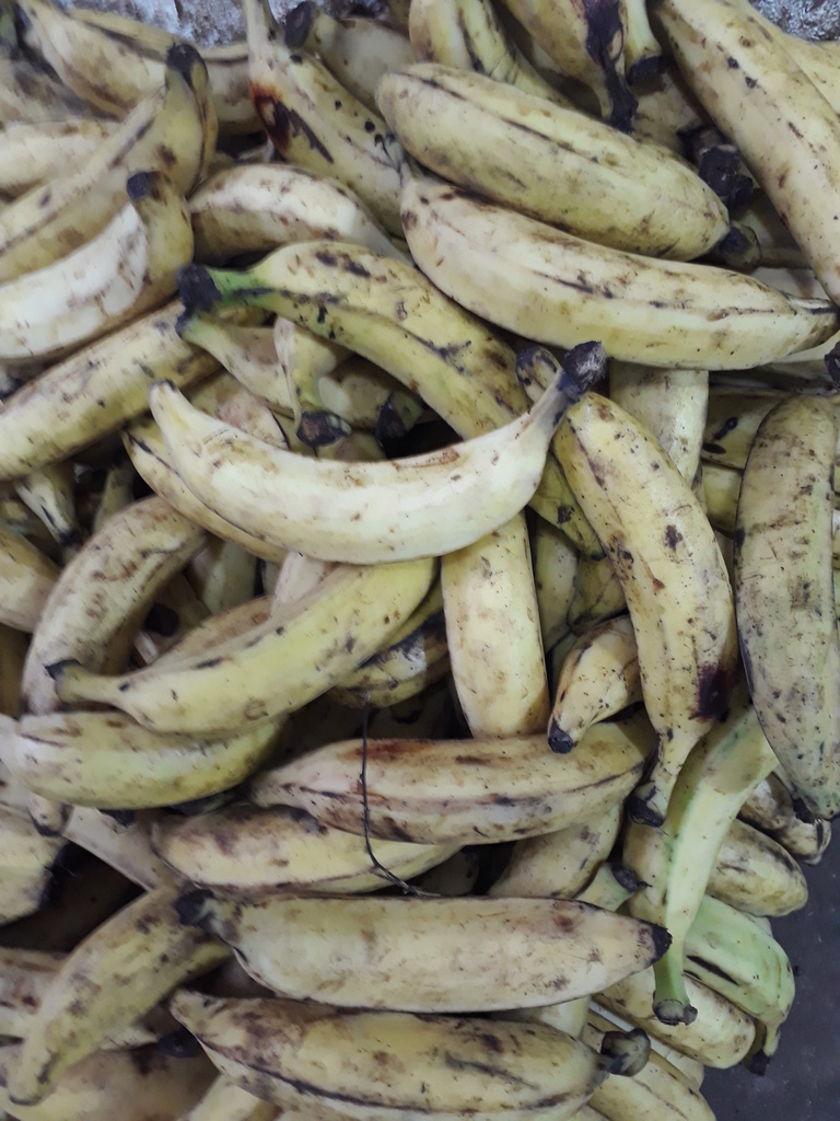 Platano maduro
