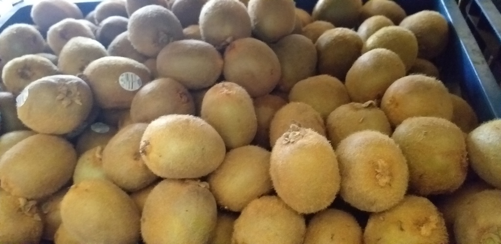 Kiwi