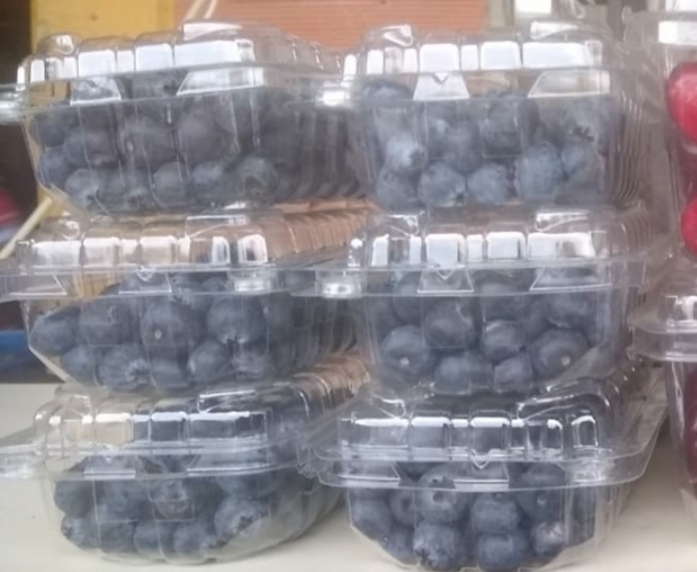 Arandanos *125gm