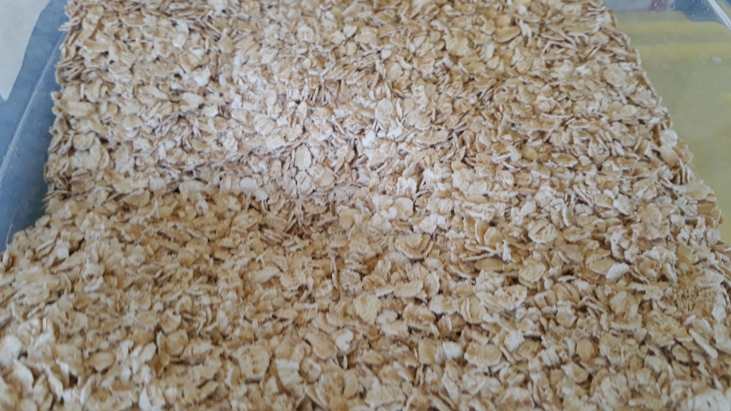 Avena en hojuelas