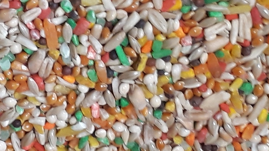 Alpiste vitaminado