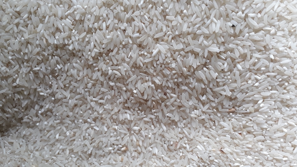Arroz