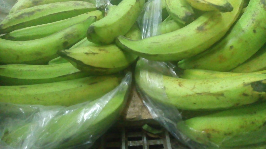 Plátano verde