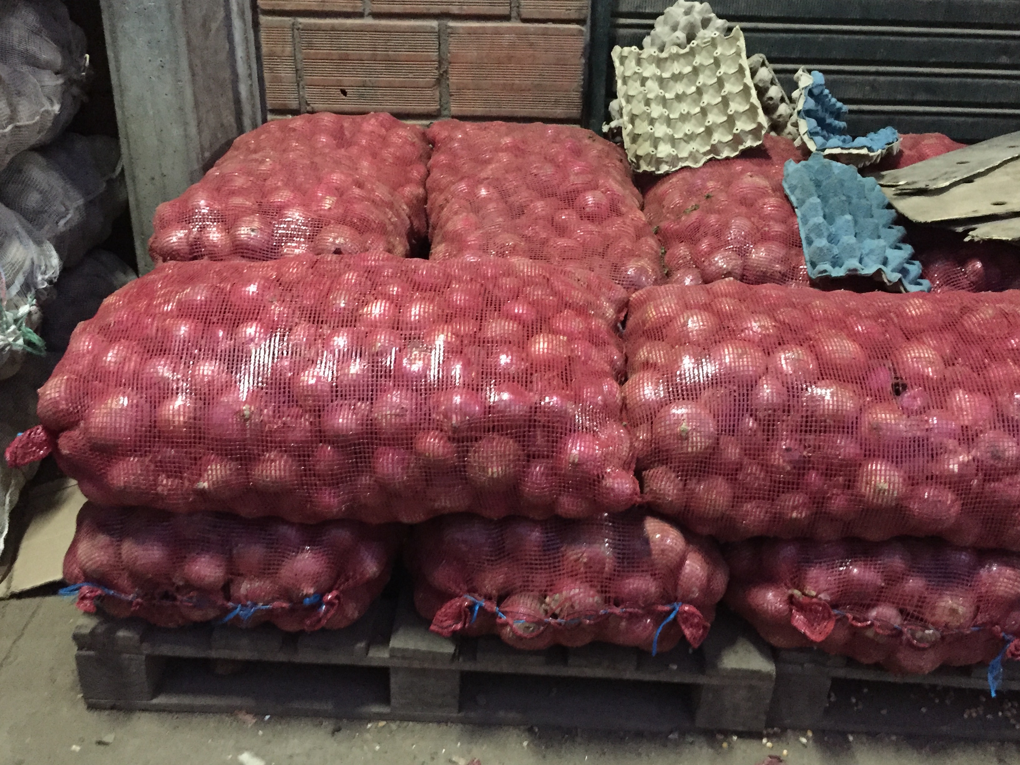 Cebolla de huevo Roja