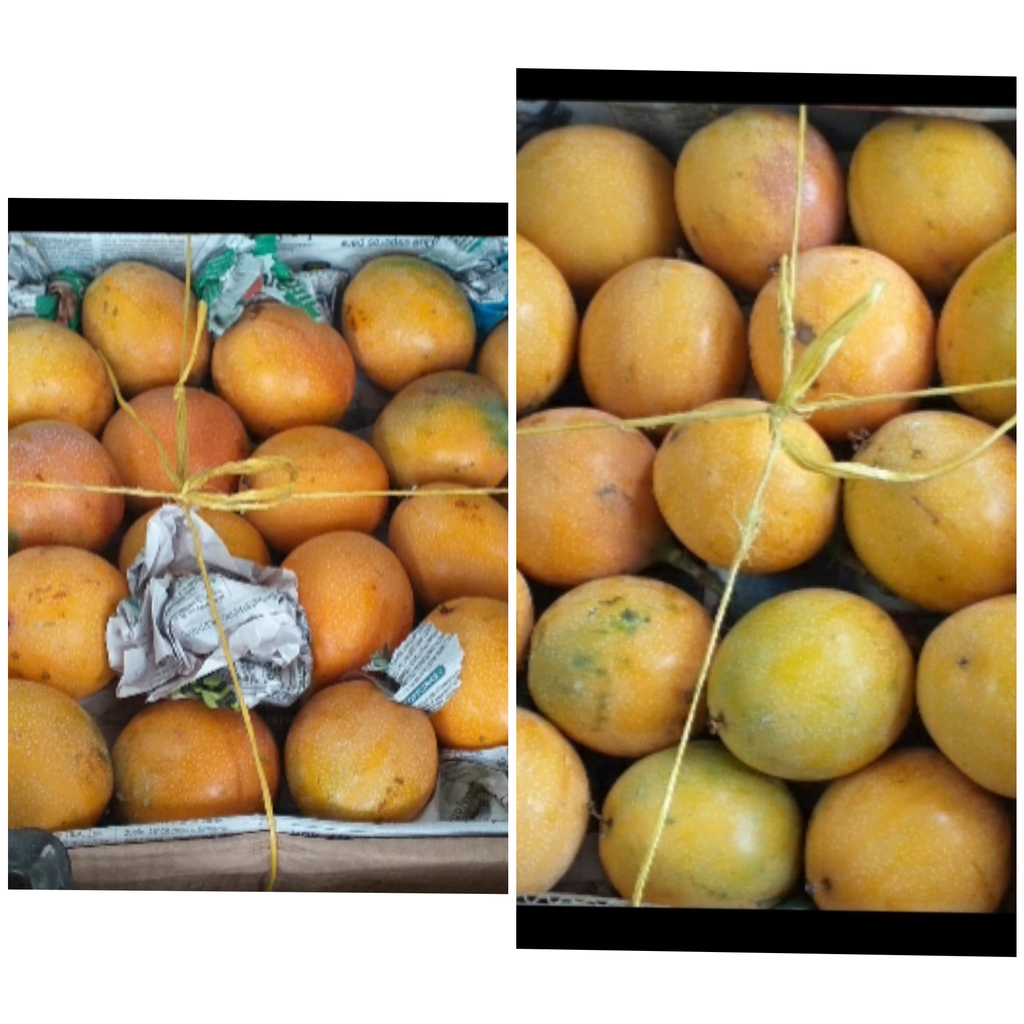 Granadilla x 15 kg