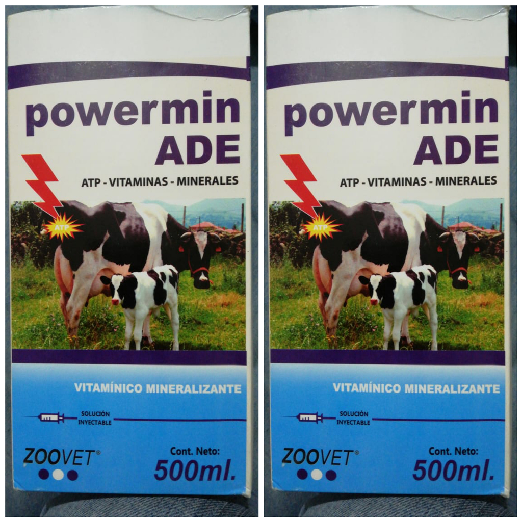 POWERMIN vitaminas A.D.E + Energia+ Minerales frasco * 500 ml
