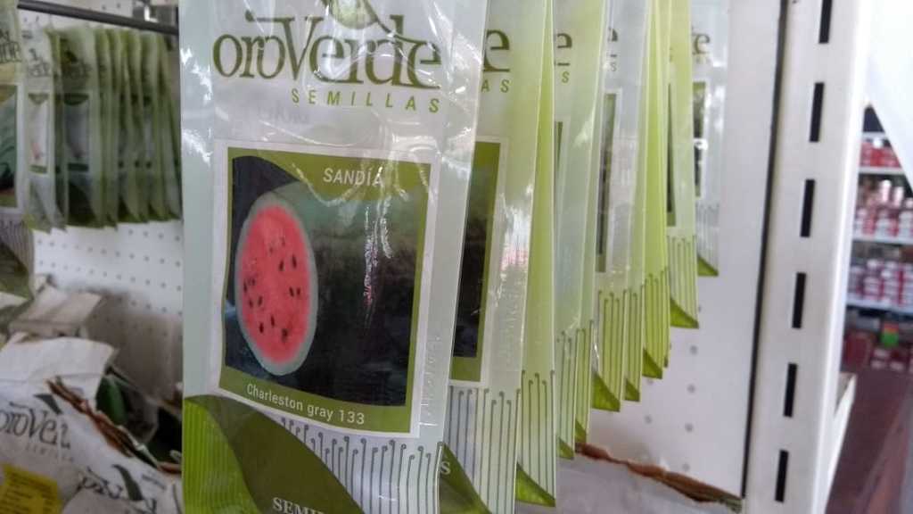 Cemilla Sandia x20g