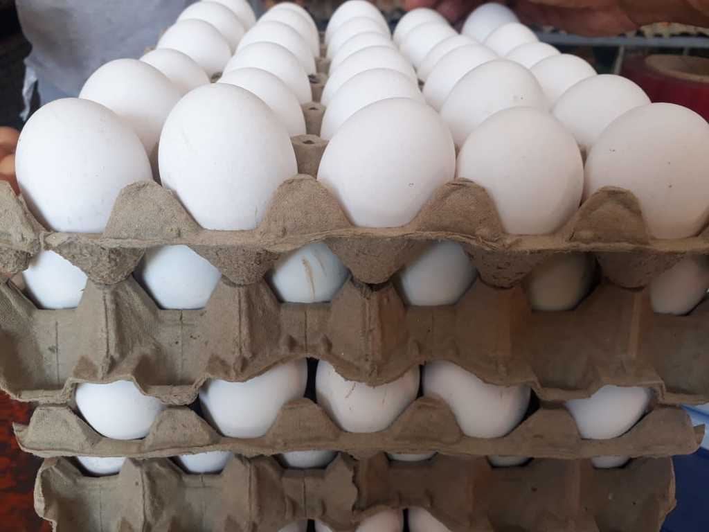 Huevo blanco