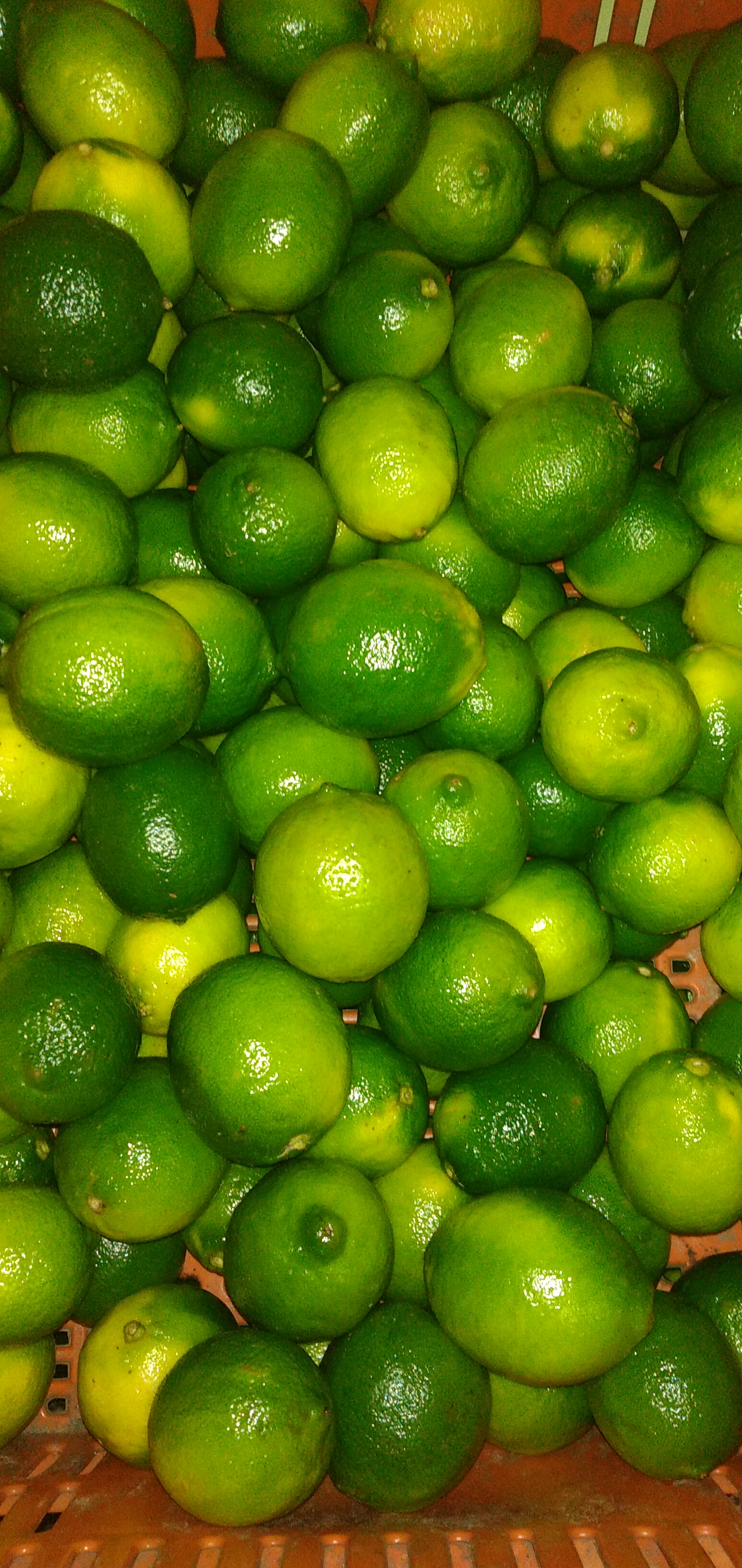 Limón Tahití