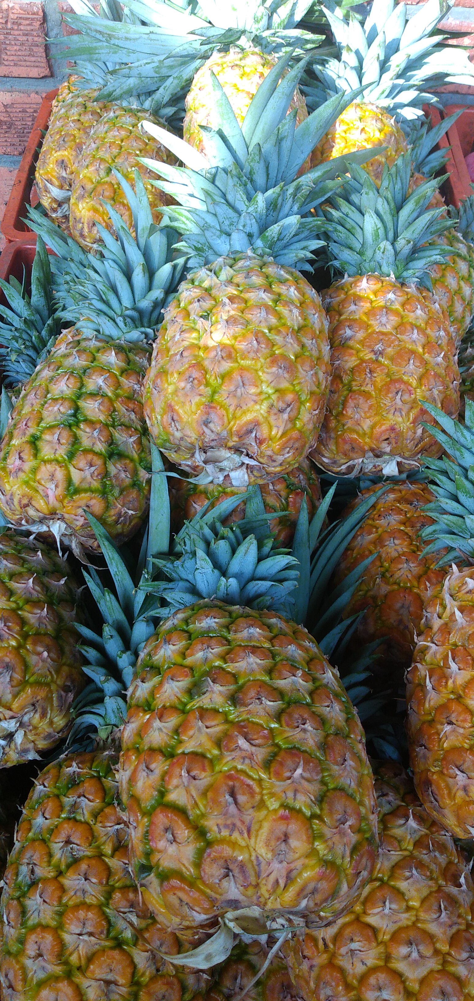 Piña oromiel