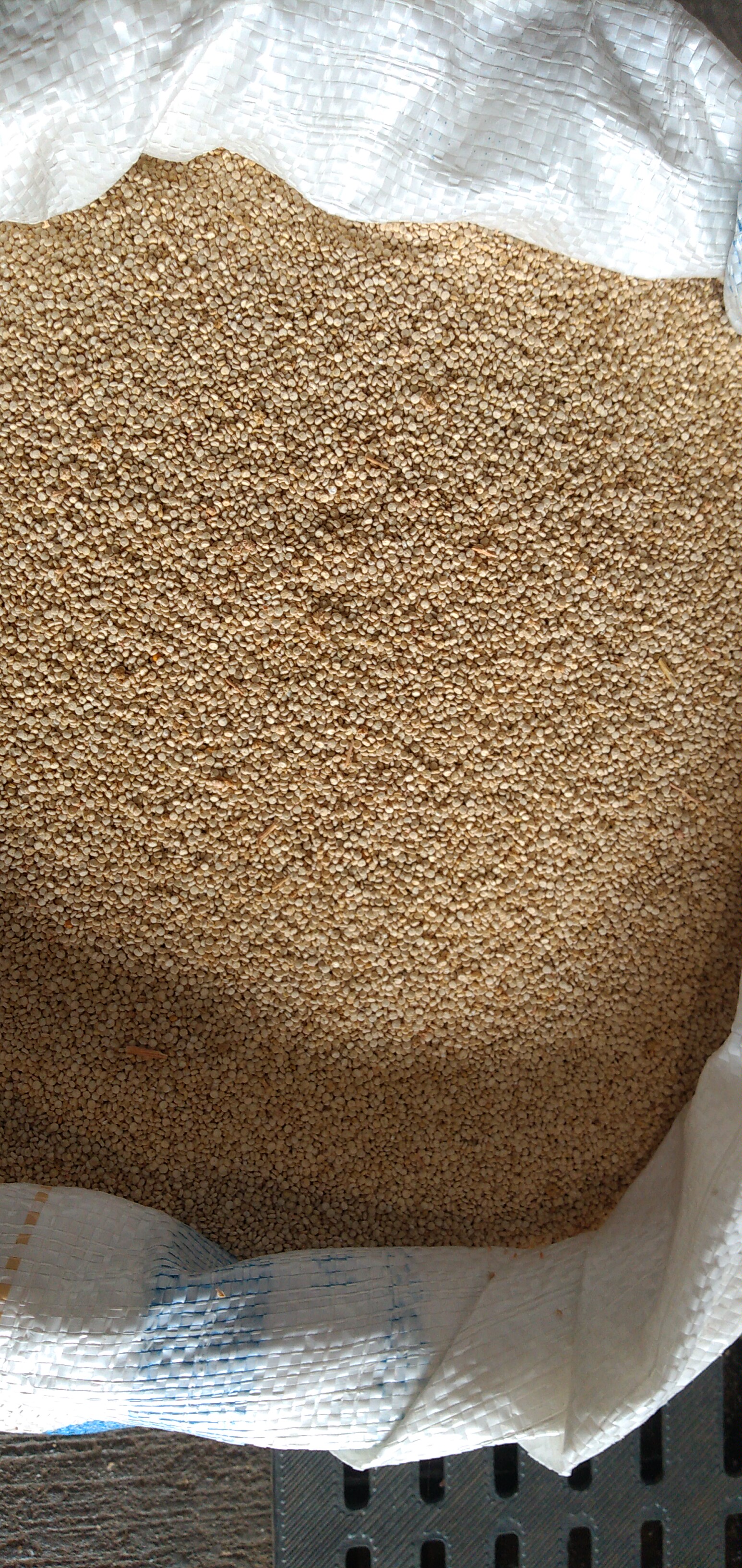 Quinua bulto x 50 kg