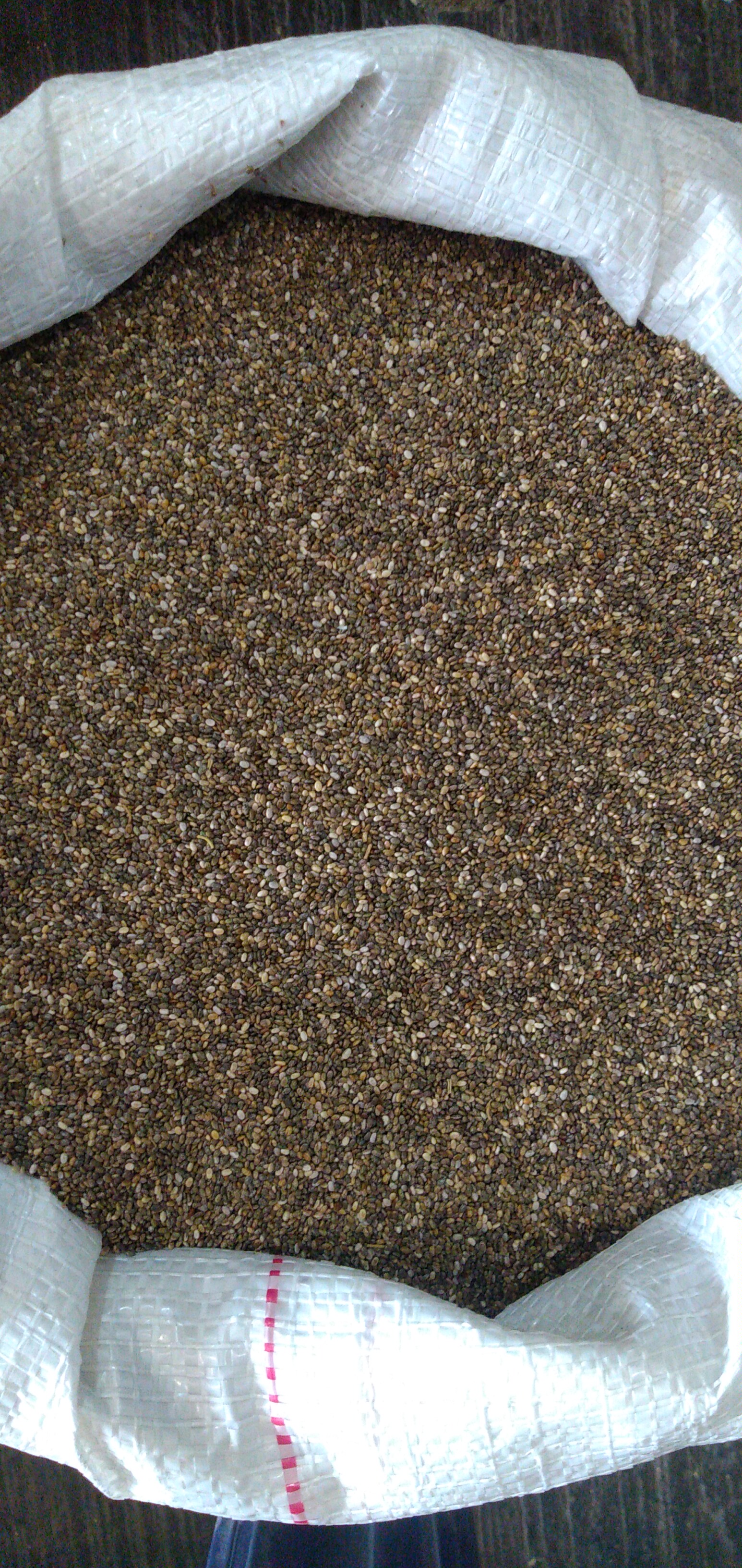 Chía bulto x 25 kg