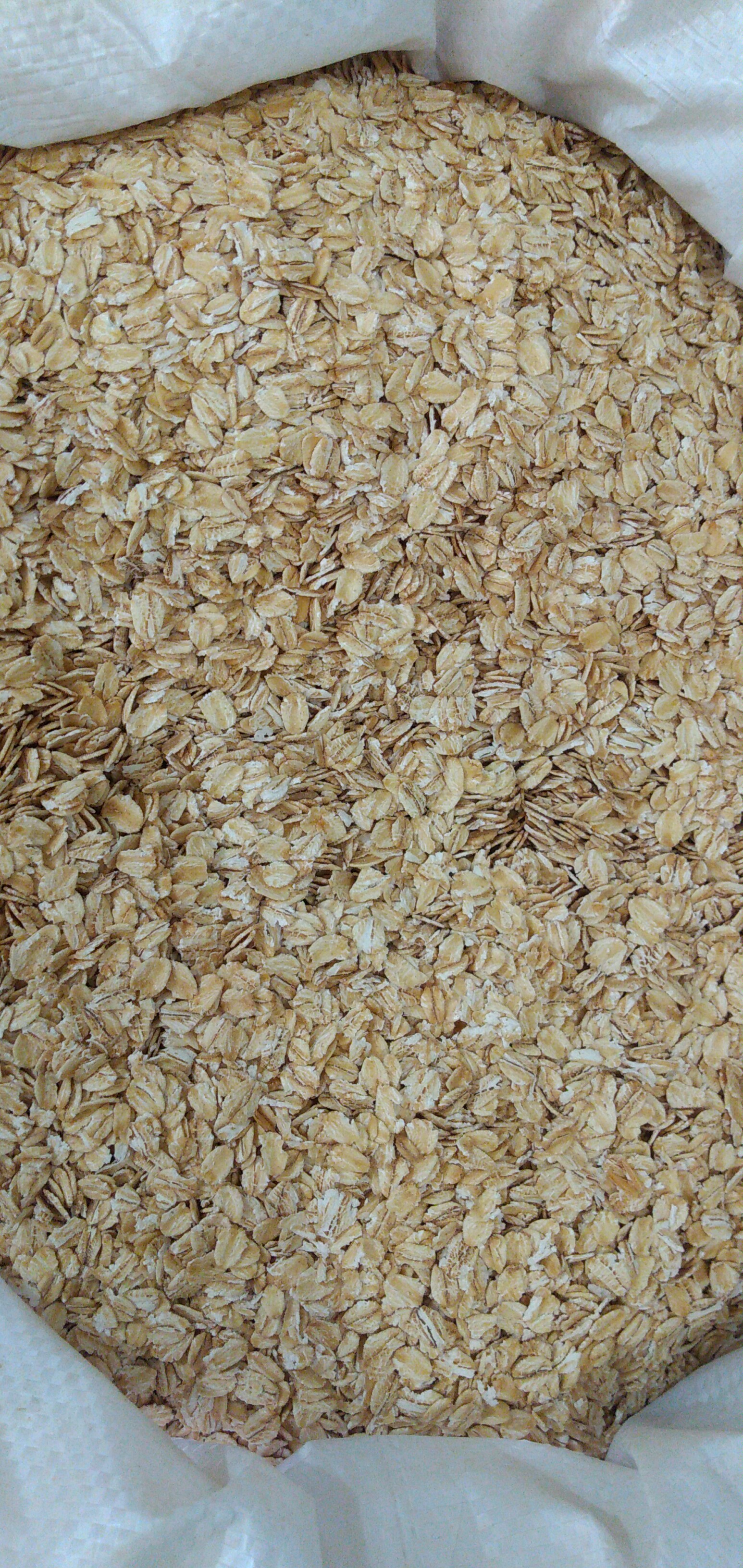 Avena en hojuelas bulto x 25 kg