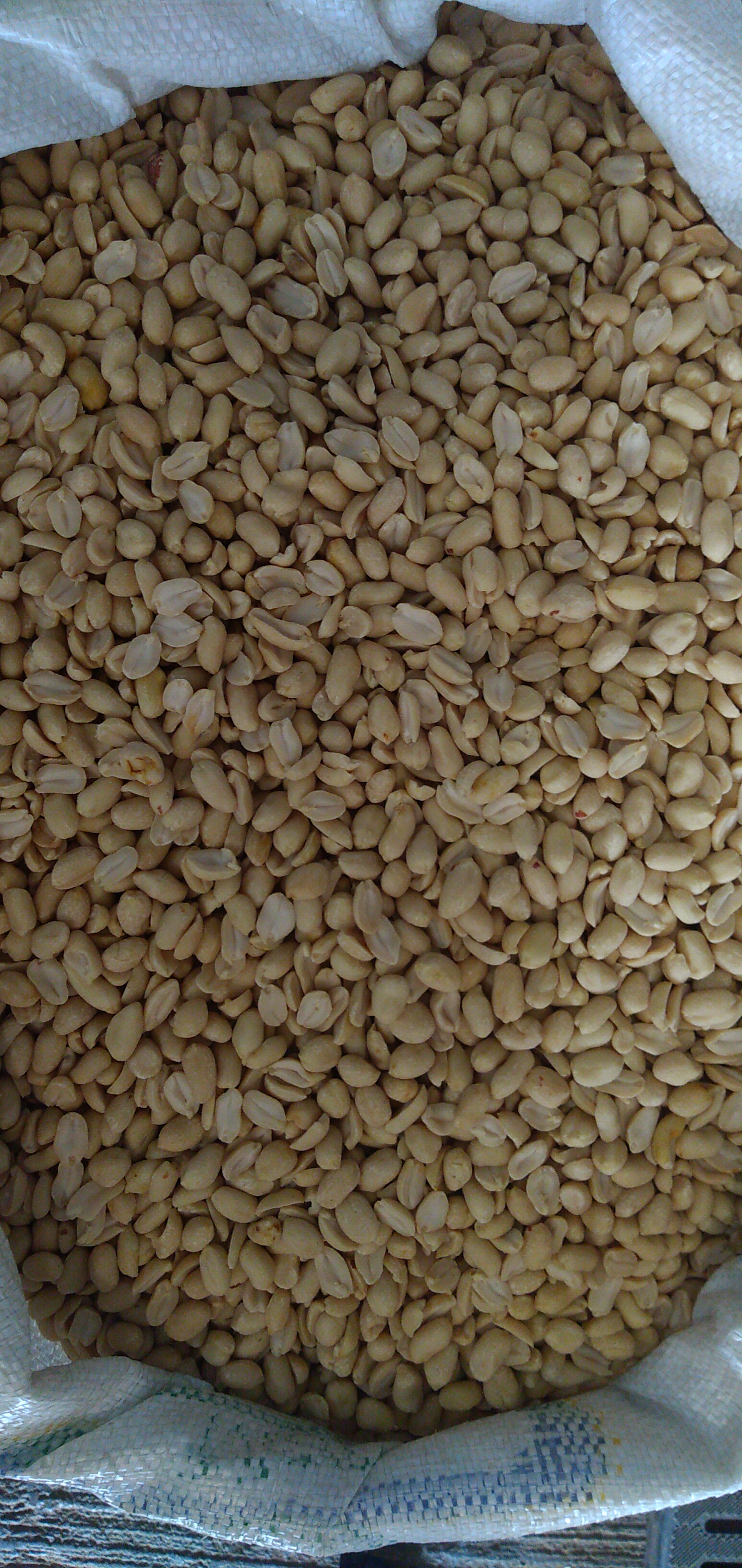 Maní pelado bulto x  25 kg