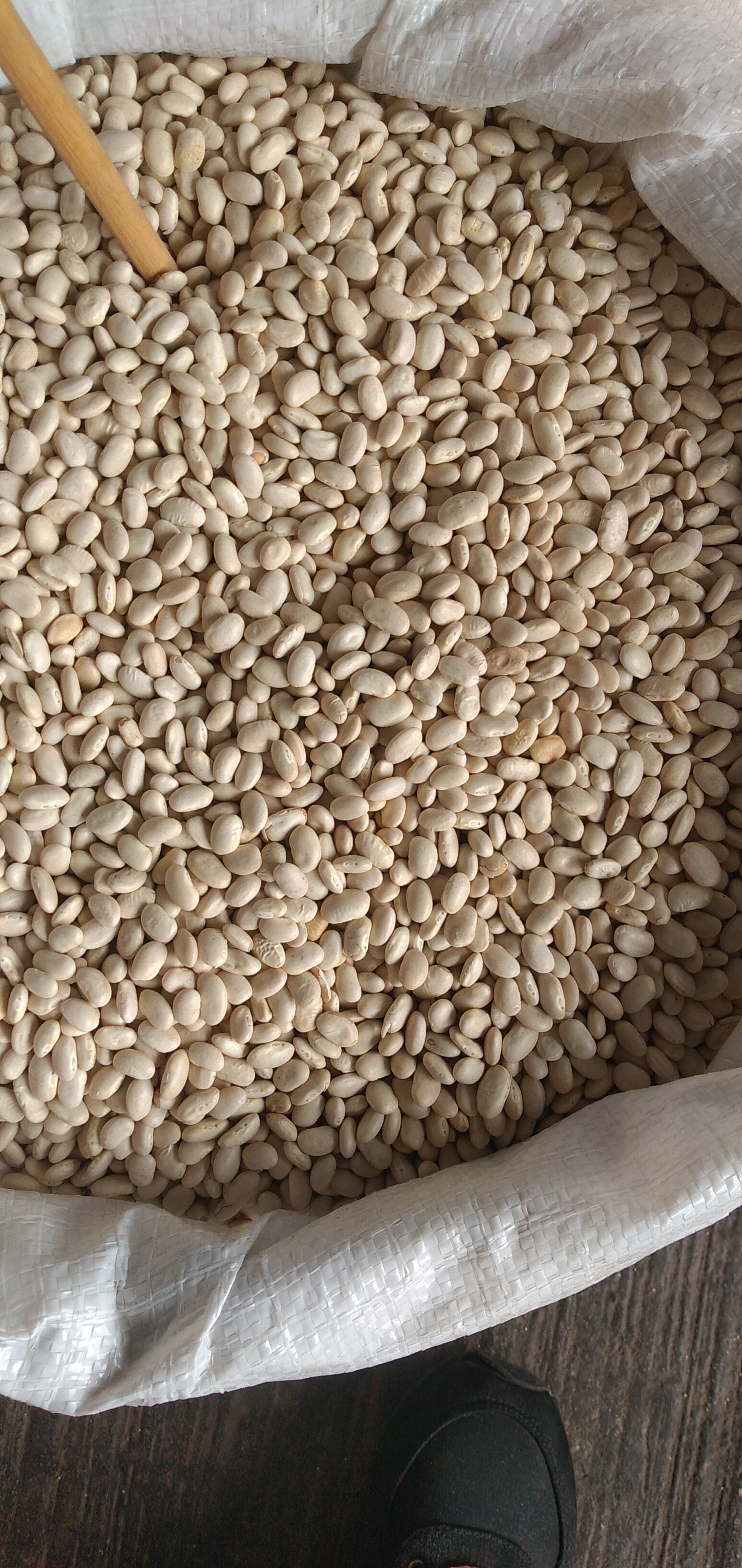 Frijol blanquillo bultos 25 kg
