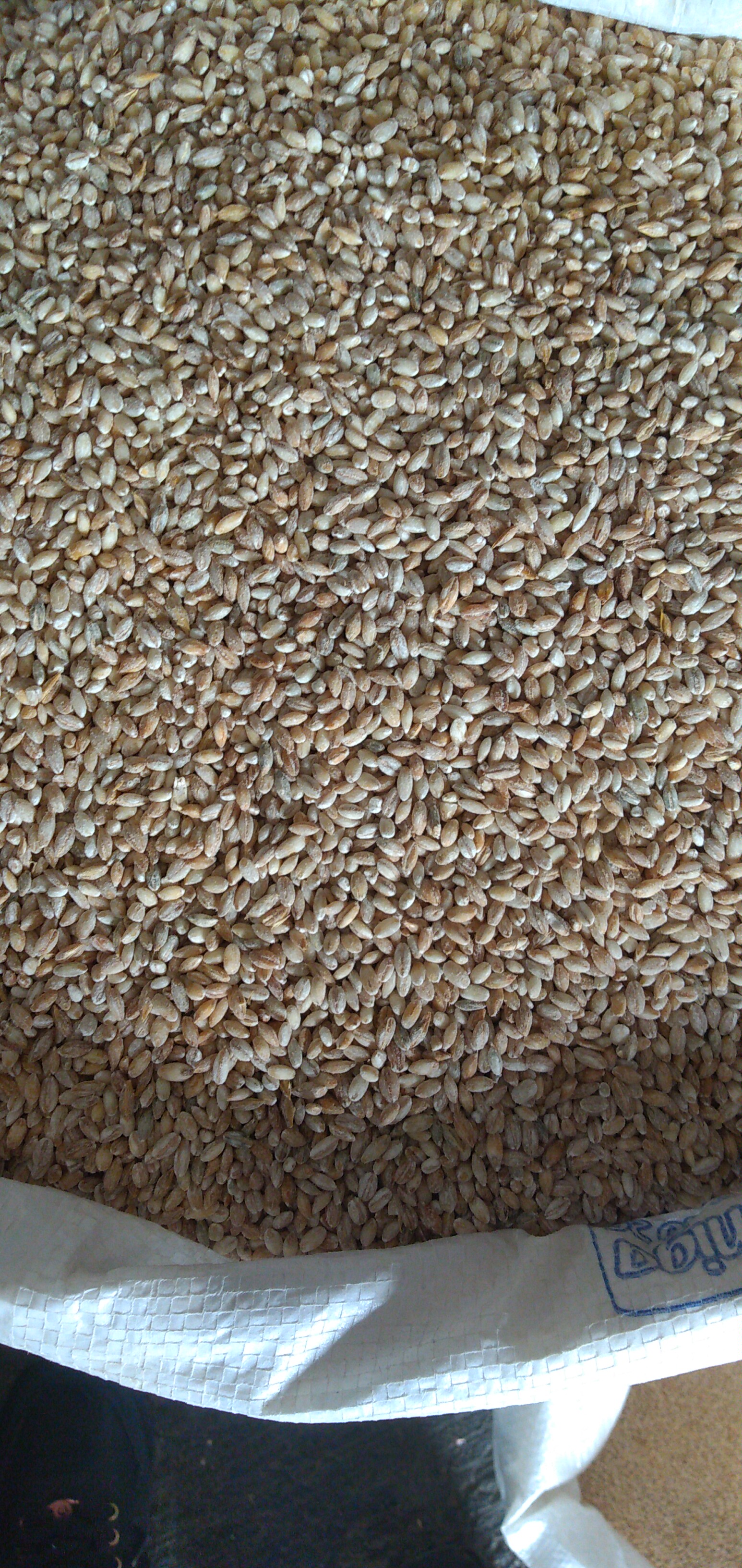 Cebada perlada bulto x 50 kg