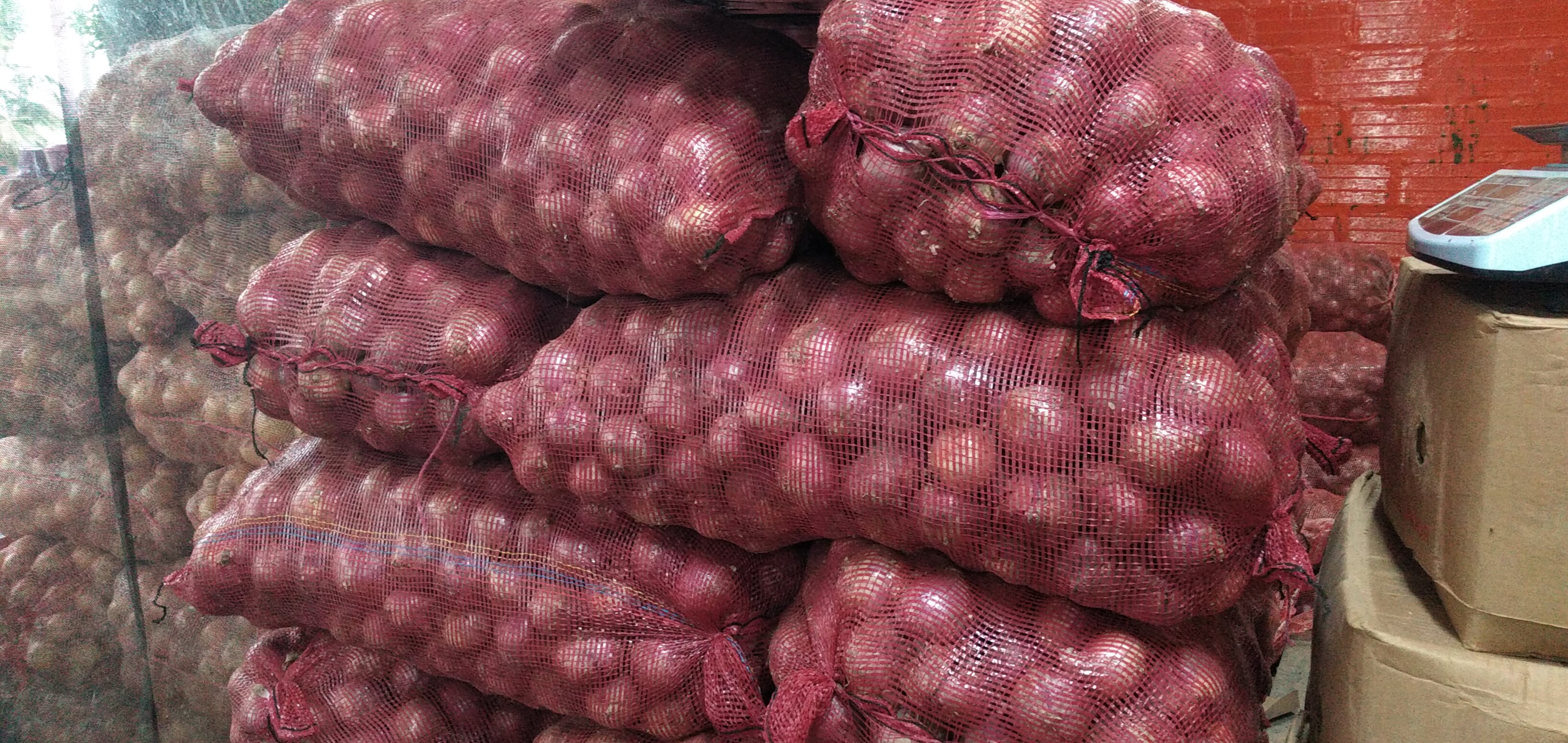 Cebolla roja ocañera bultos x 48kg