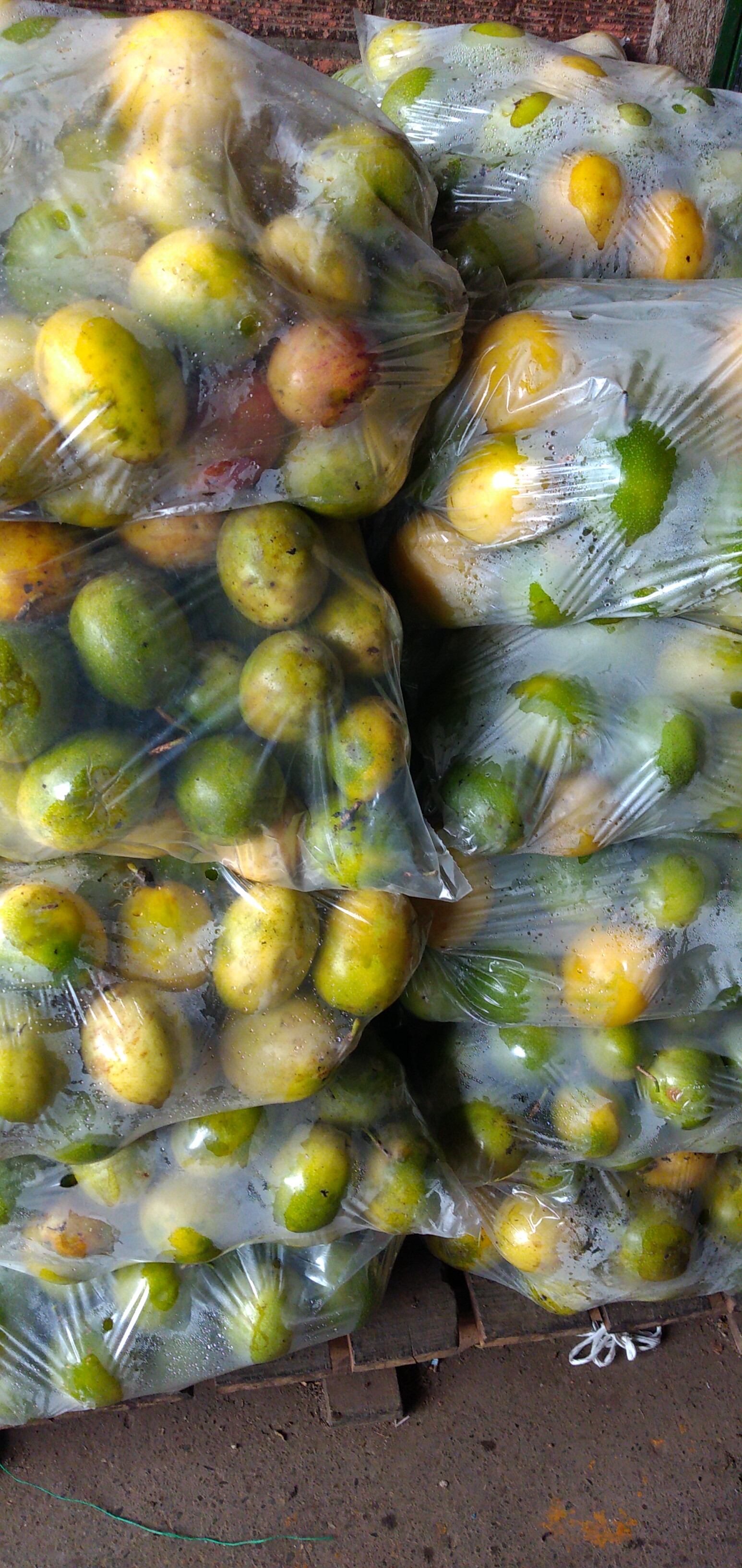Maracuya de uraba