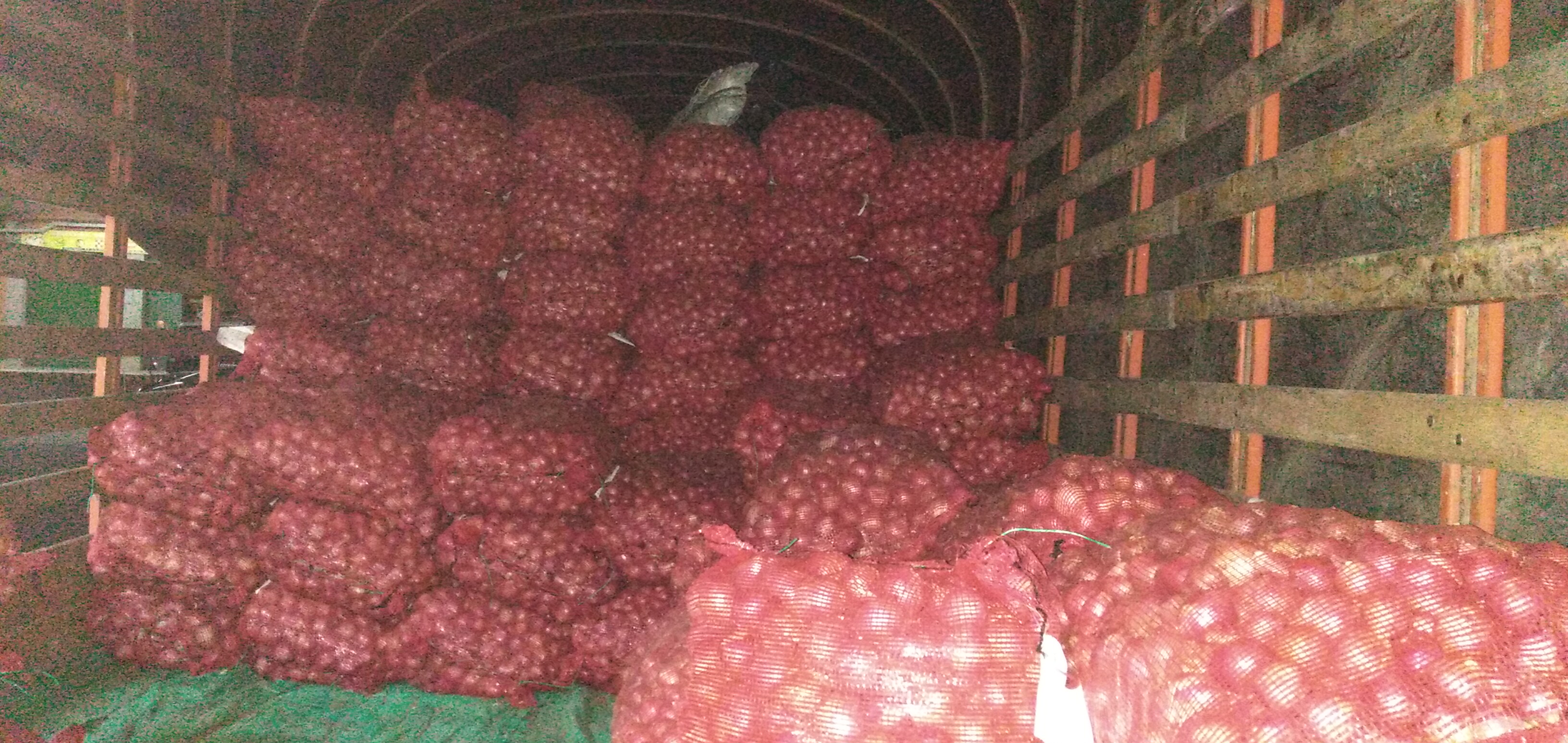 Cebolla roja peruana bulto x 48 kg