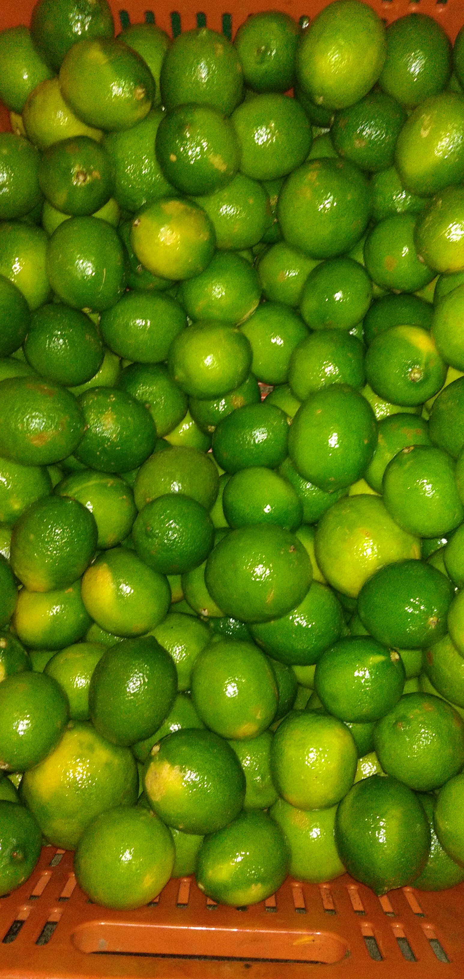 Limón Tahití