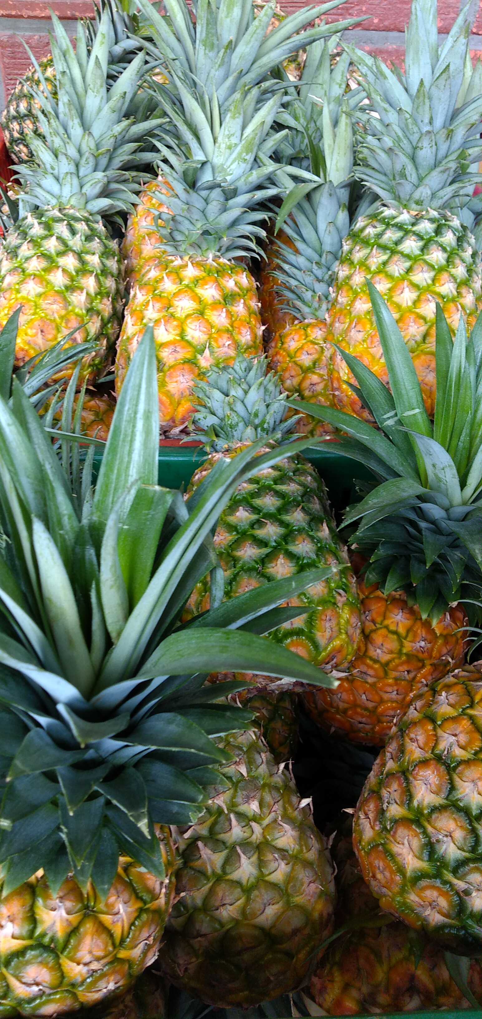 Piña oromiel