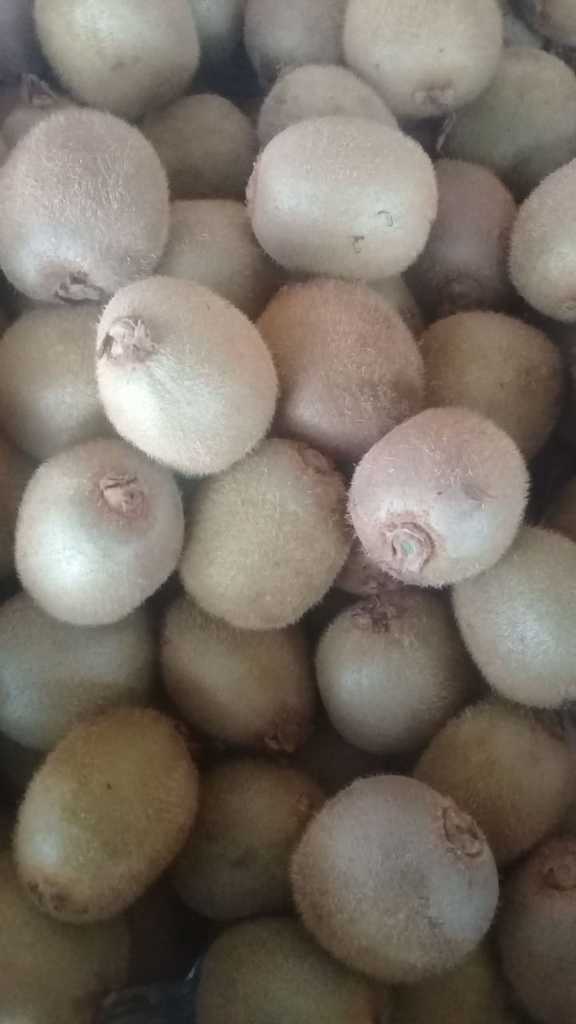 Kiwi