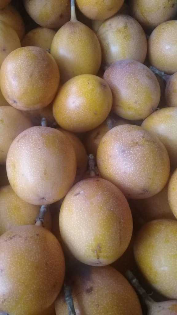 Granadilla