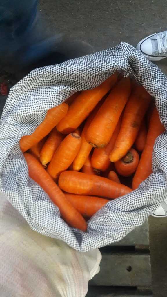Zanahoria