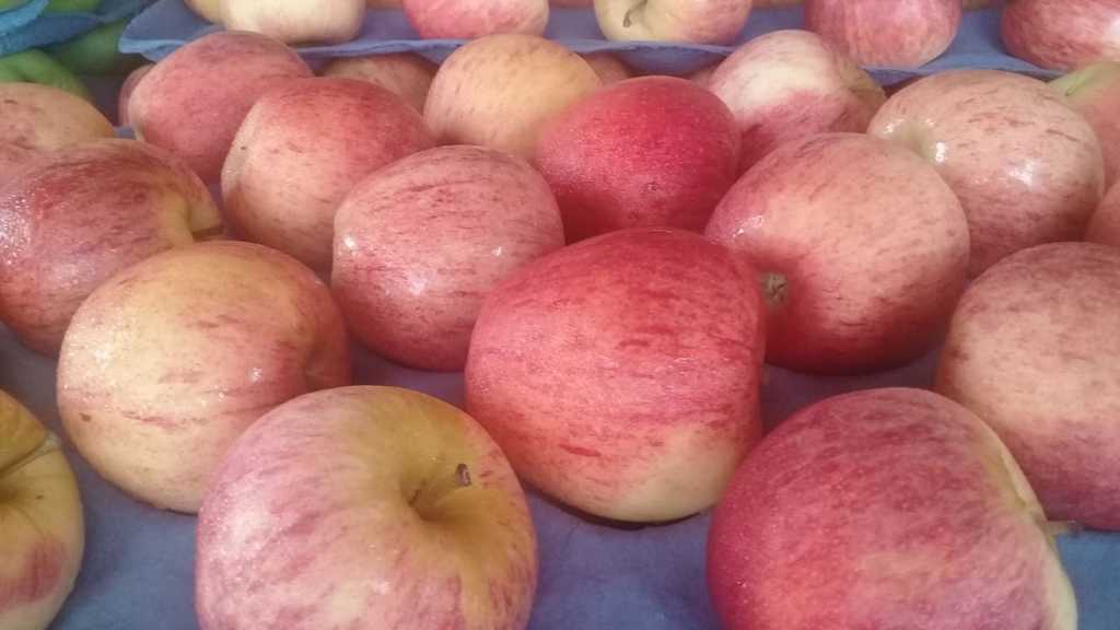 Manzana gala