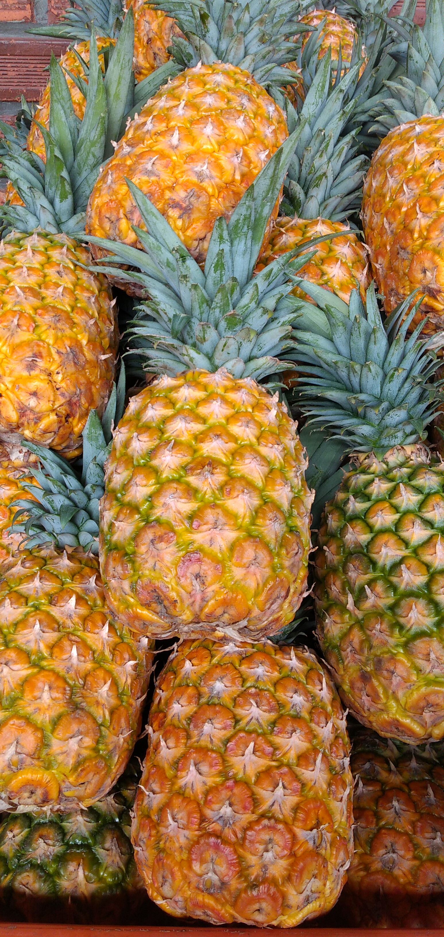 Piña oromiel