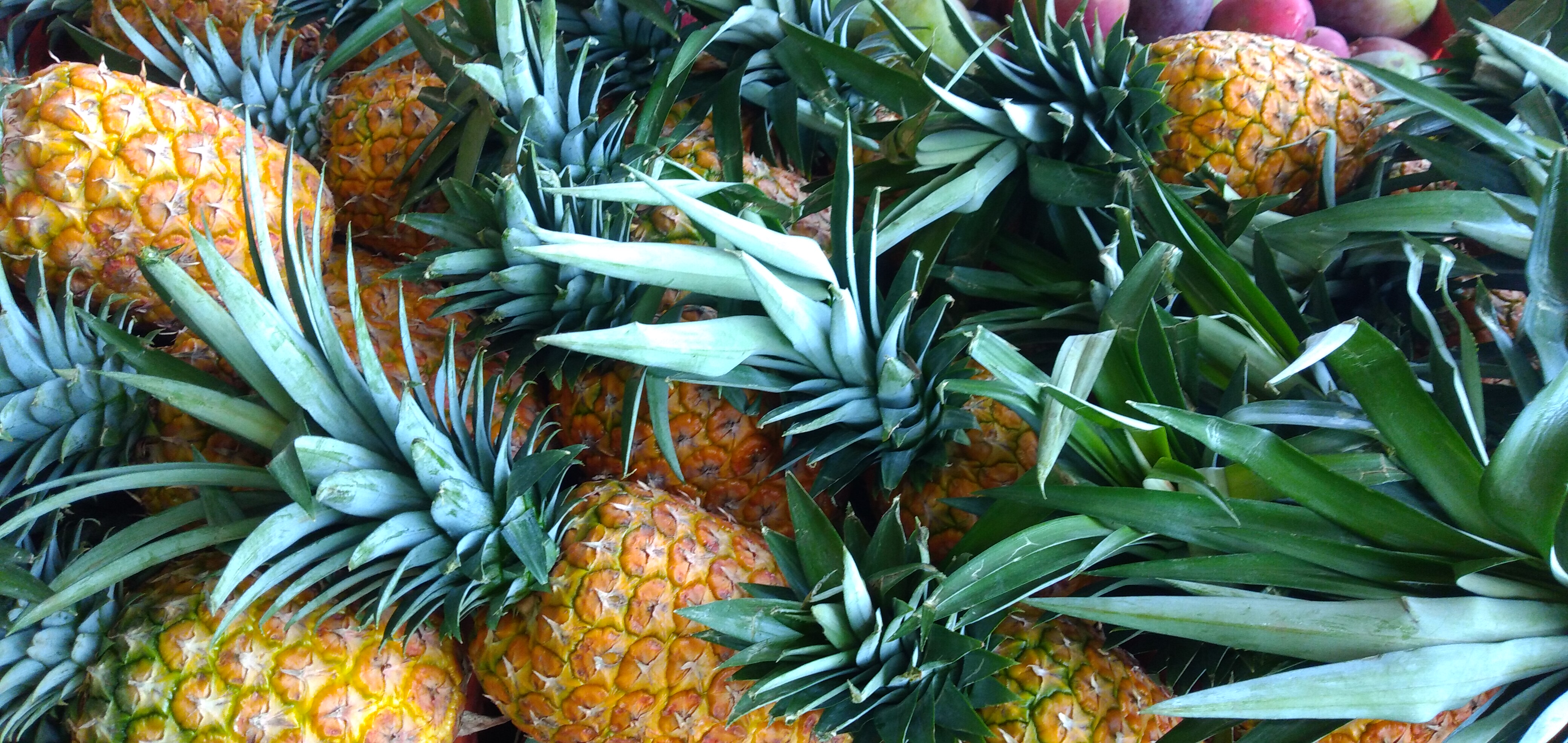 Piña oromiel