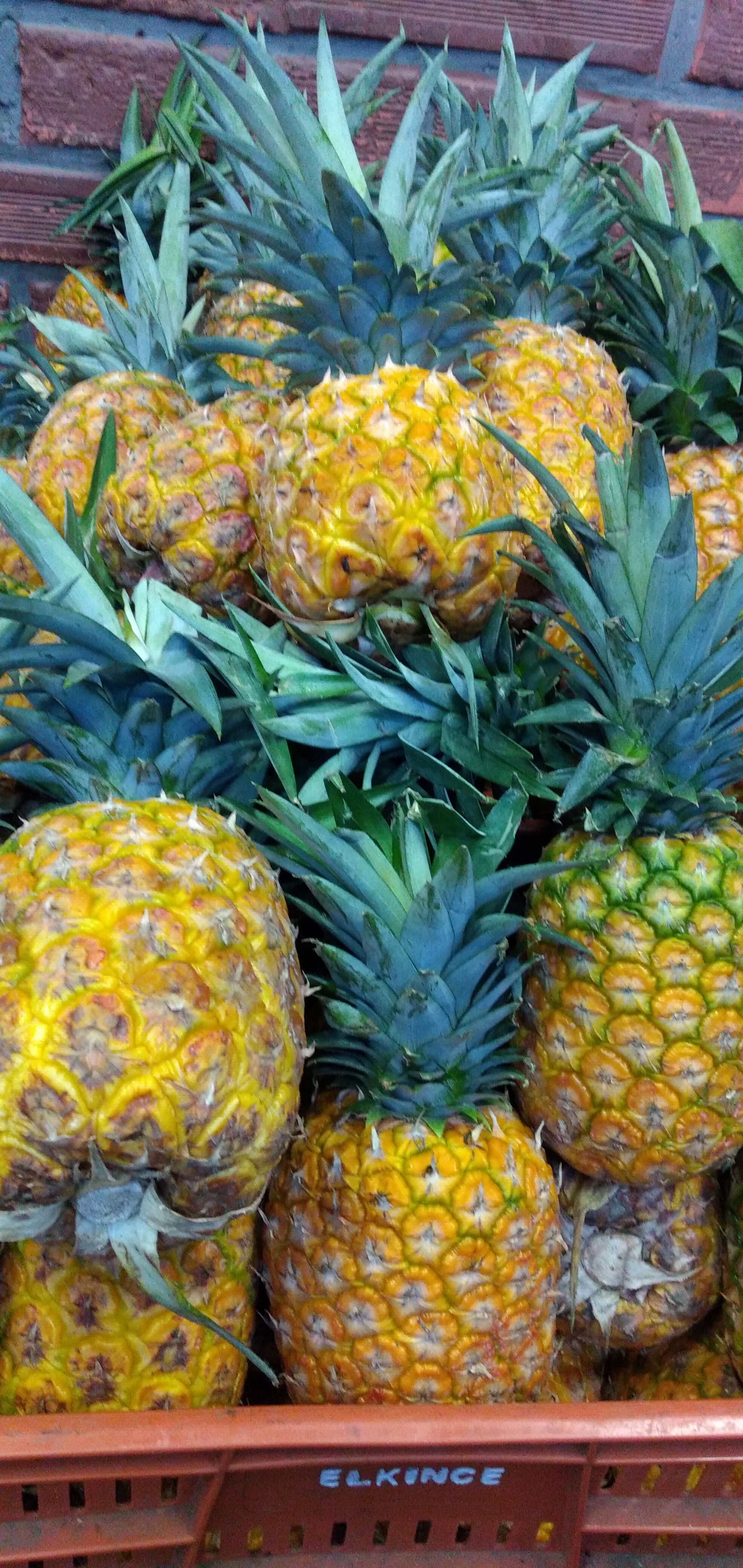 Piña oromiel