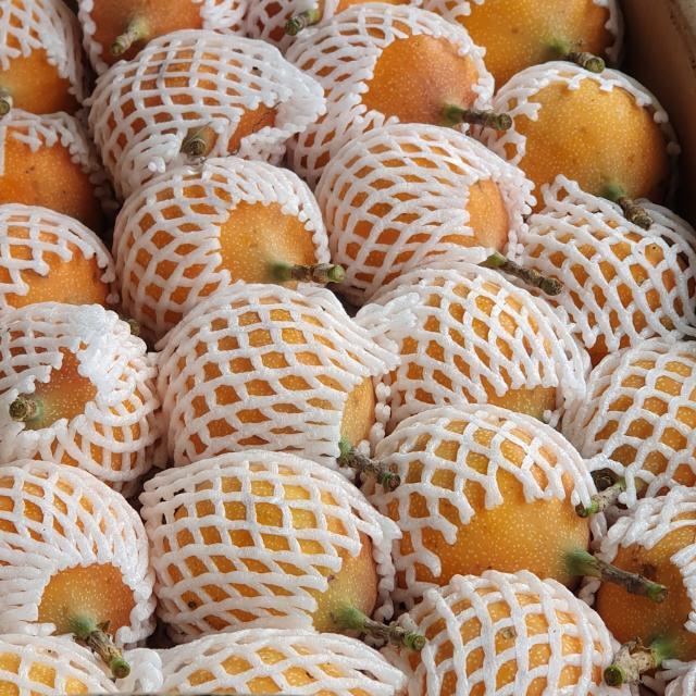 Granadilla extra