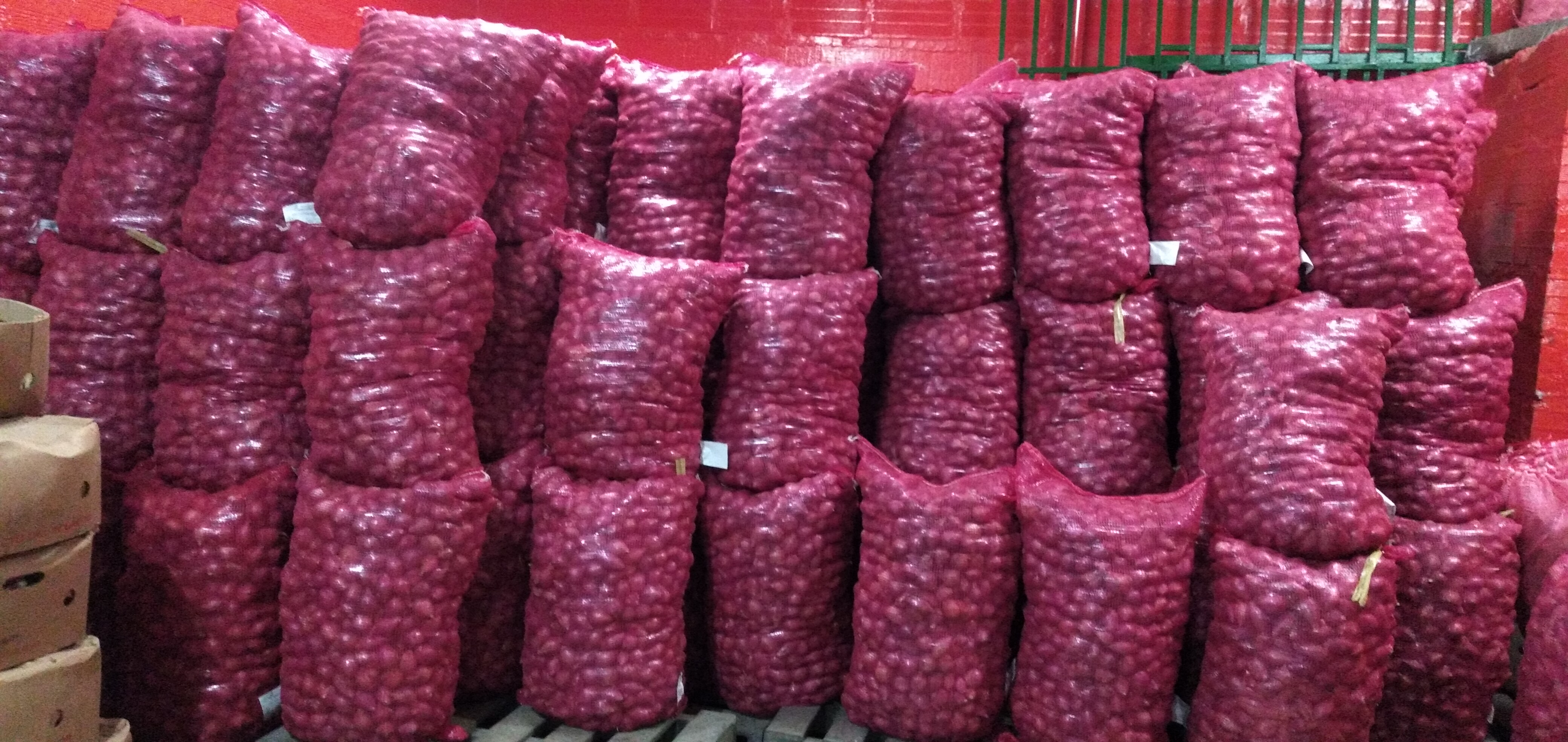 Cebolla roja peruana bultos x 45 kg
