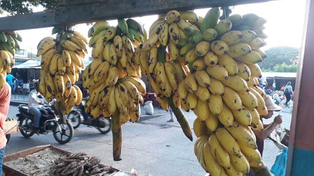 Gajo de banano maduro