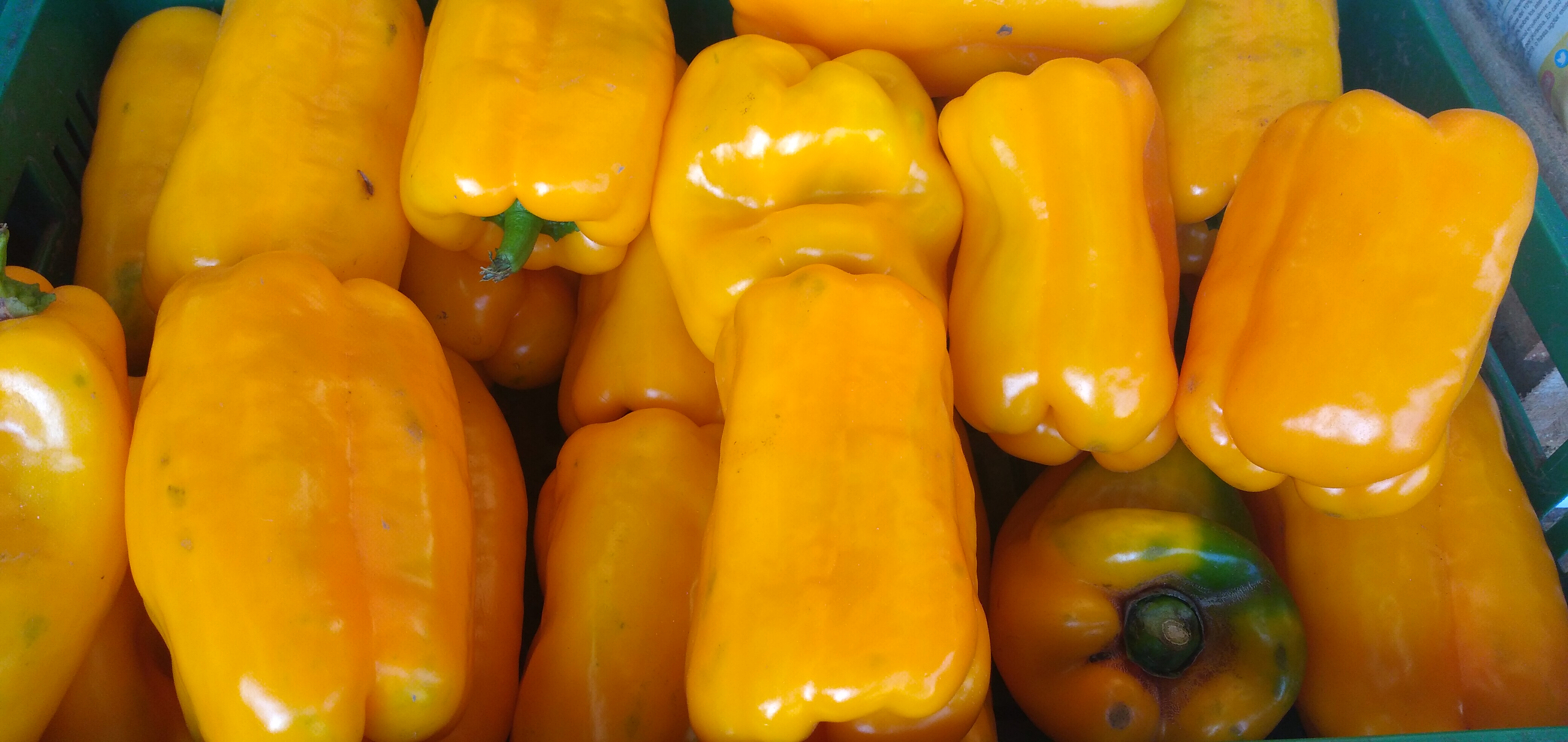 Pimenton amarillo