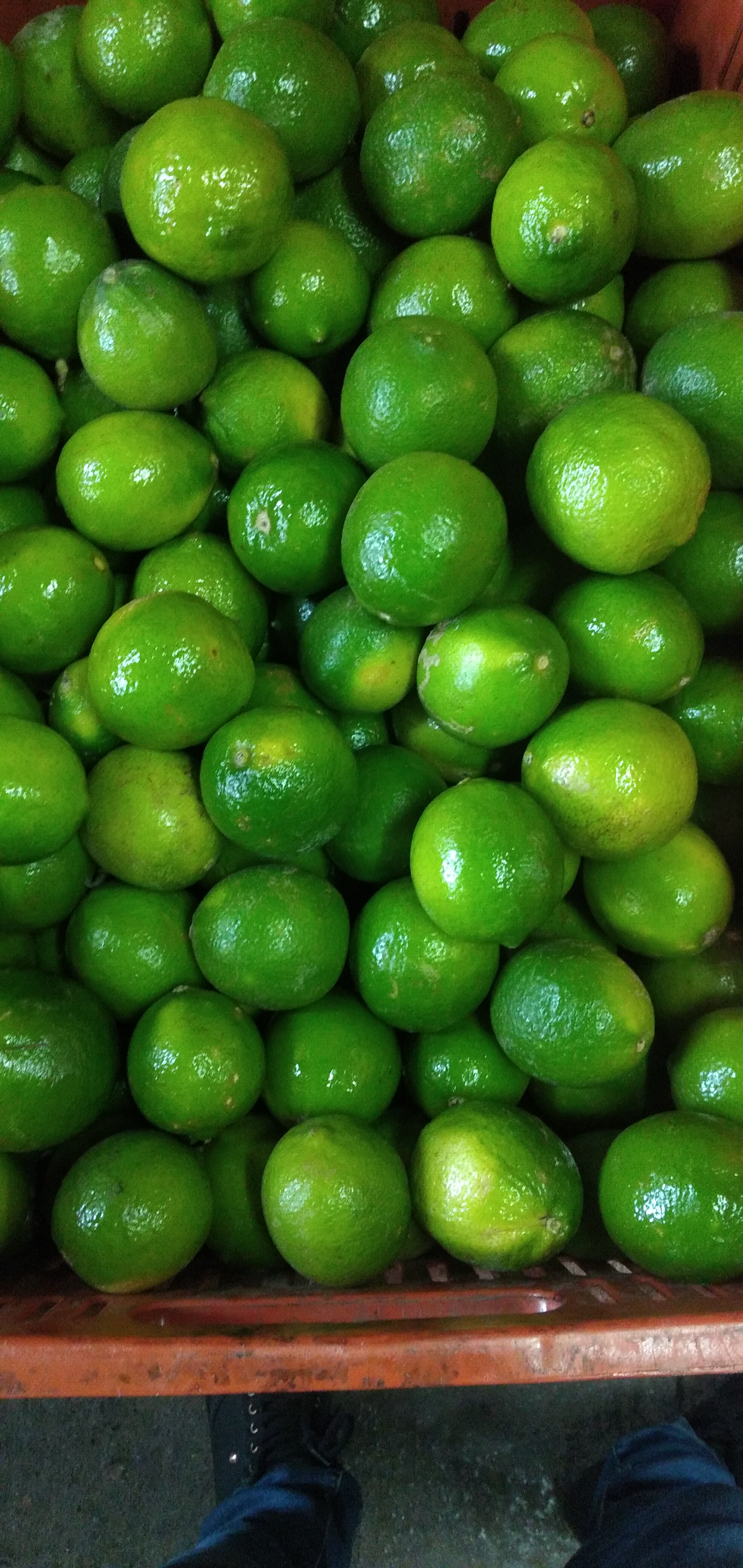 Limón Tahití