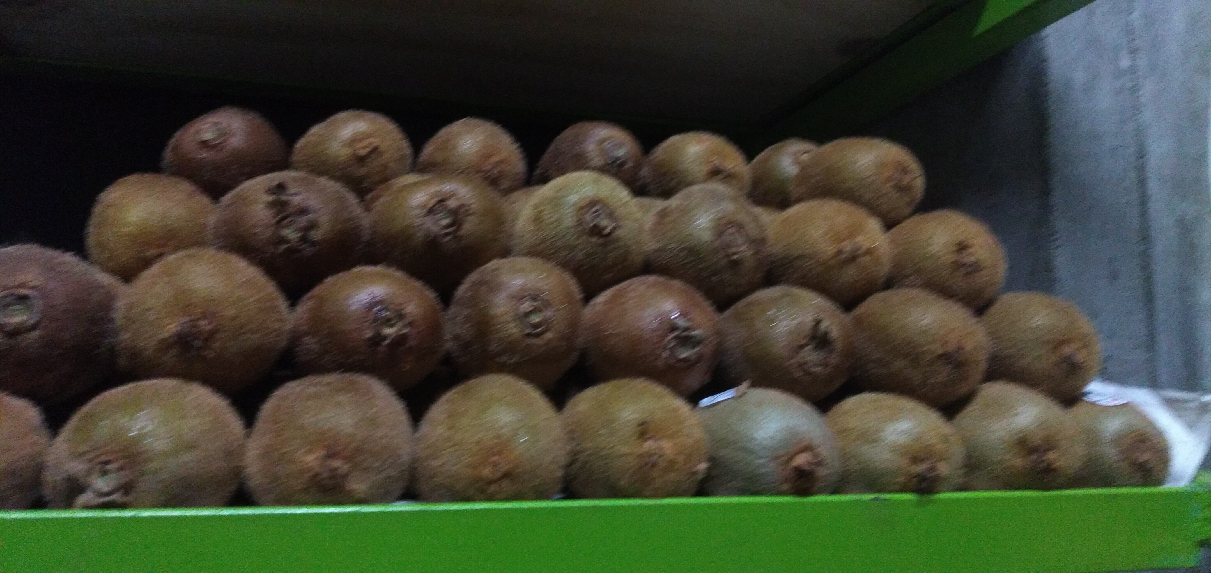 Kiwi