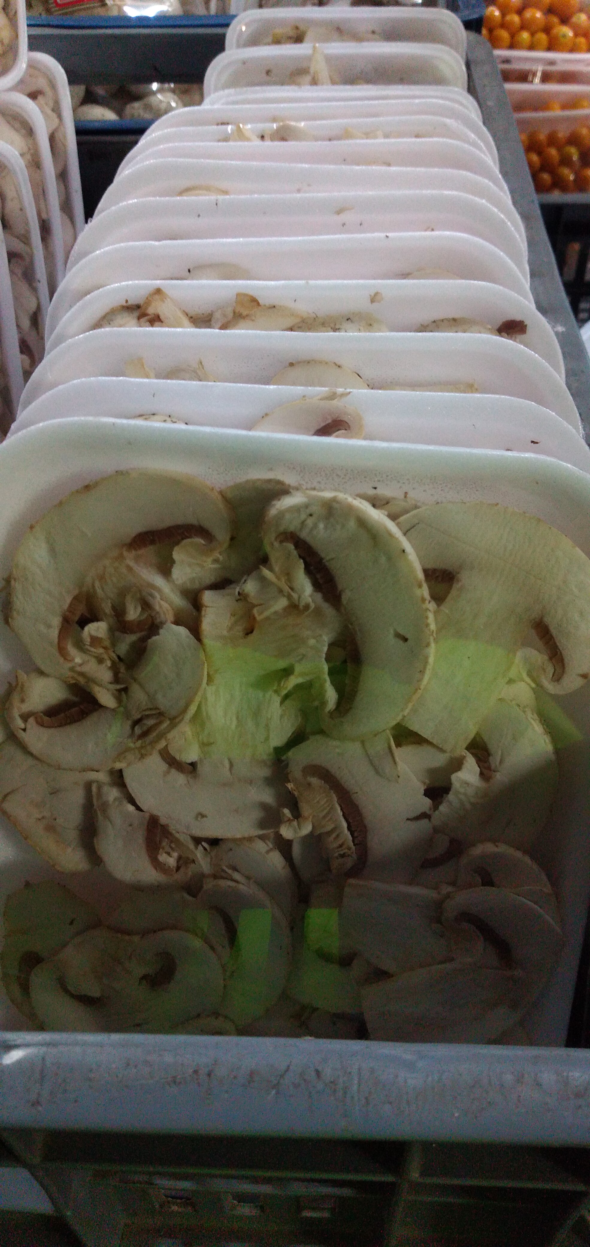 Champiñon x 100 gm