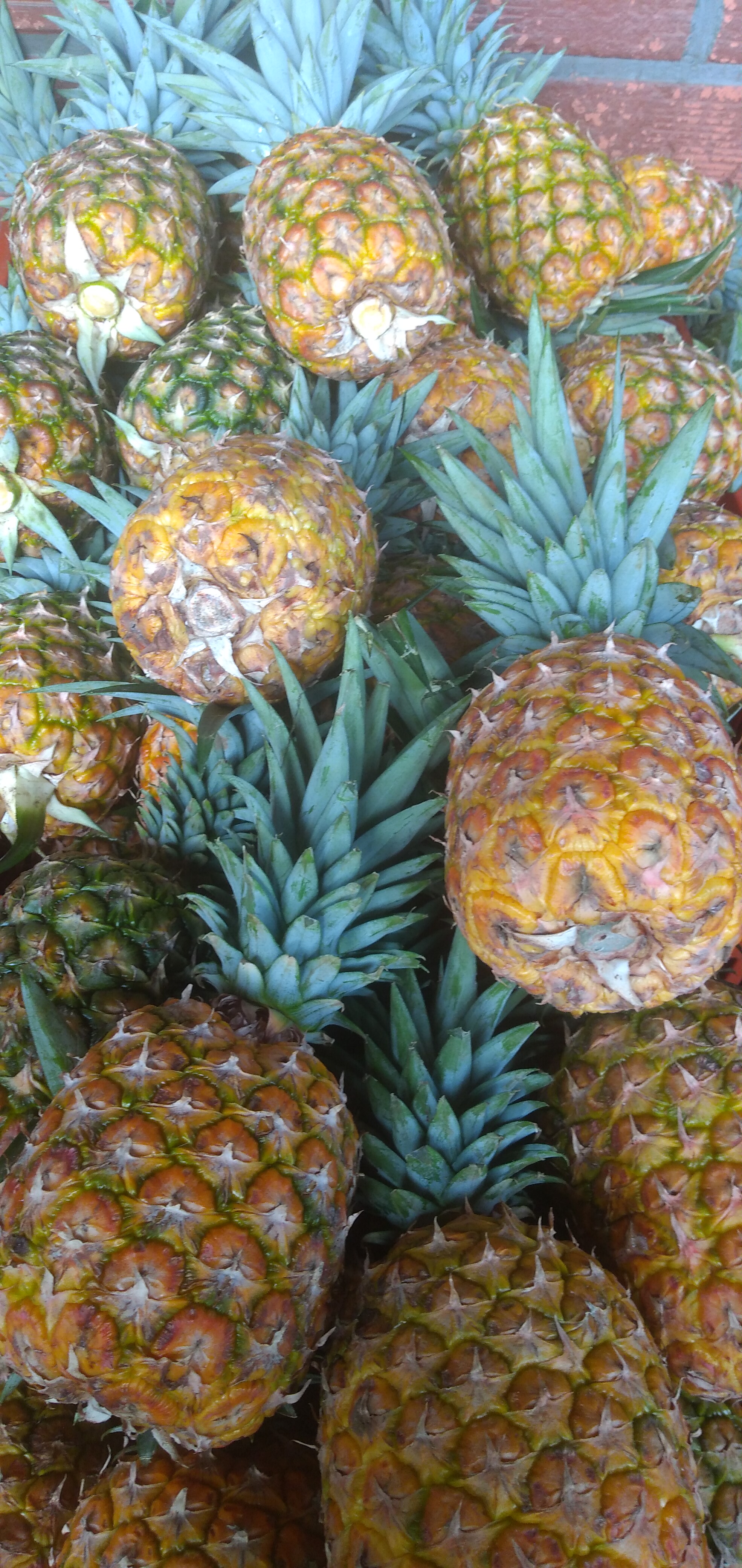 Piña oromiel
