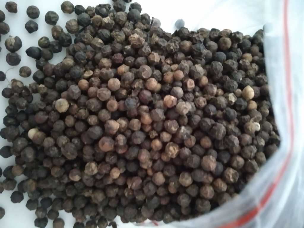 Pimienta negra