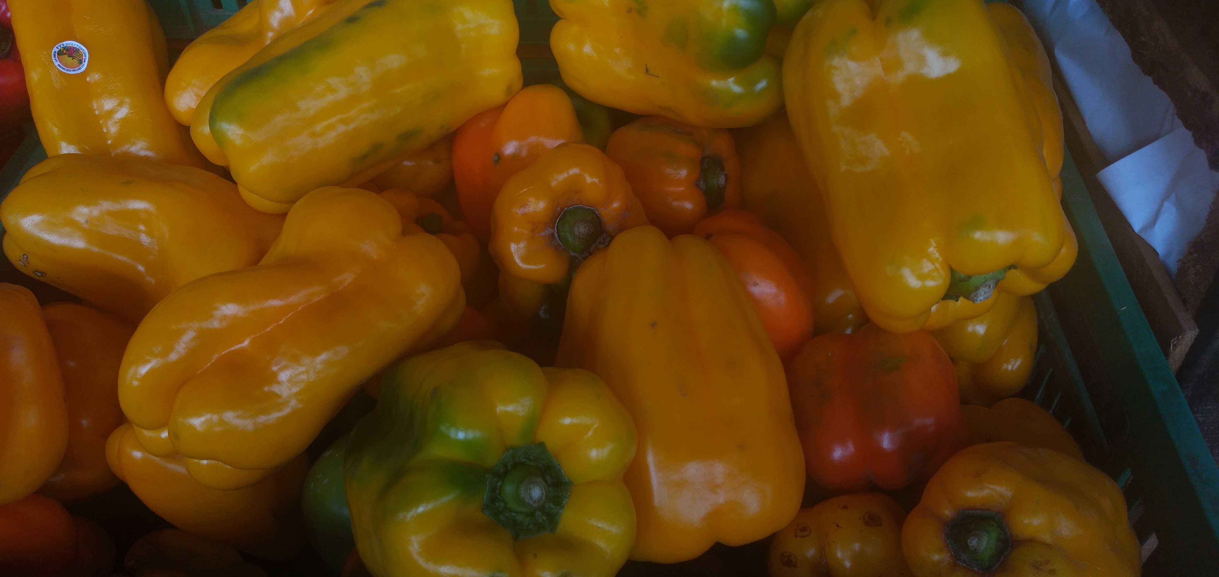 Pimentón amarillo