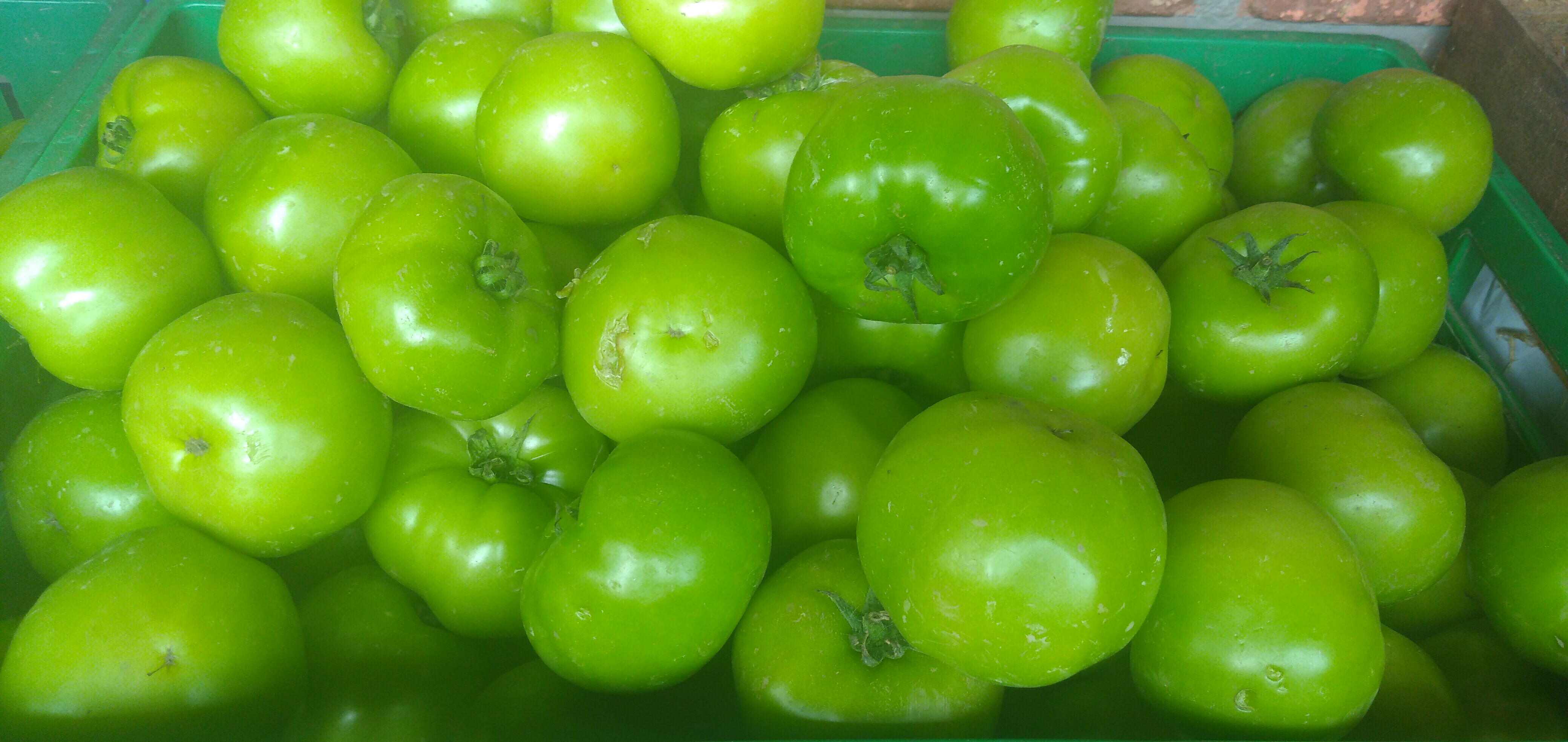Tomate riñón