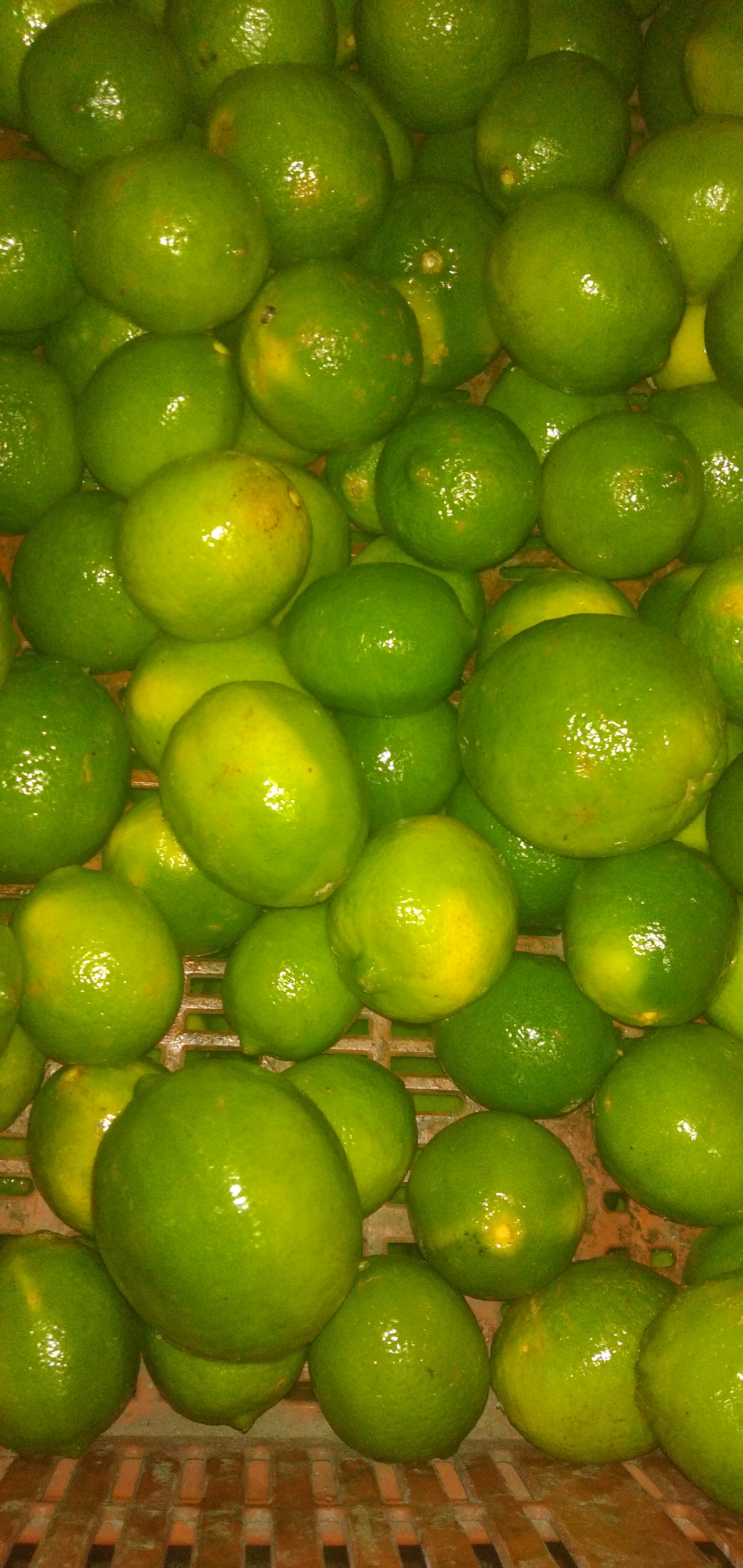 Limón Tahití