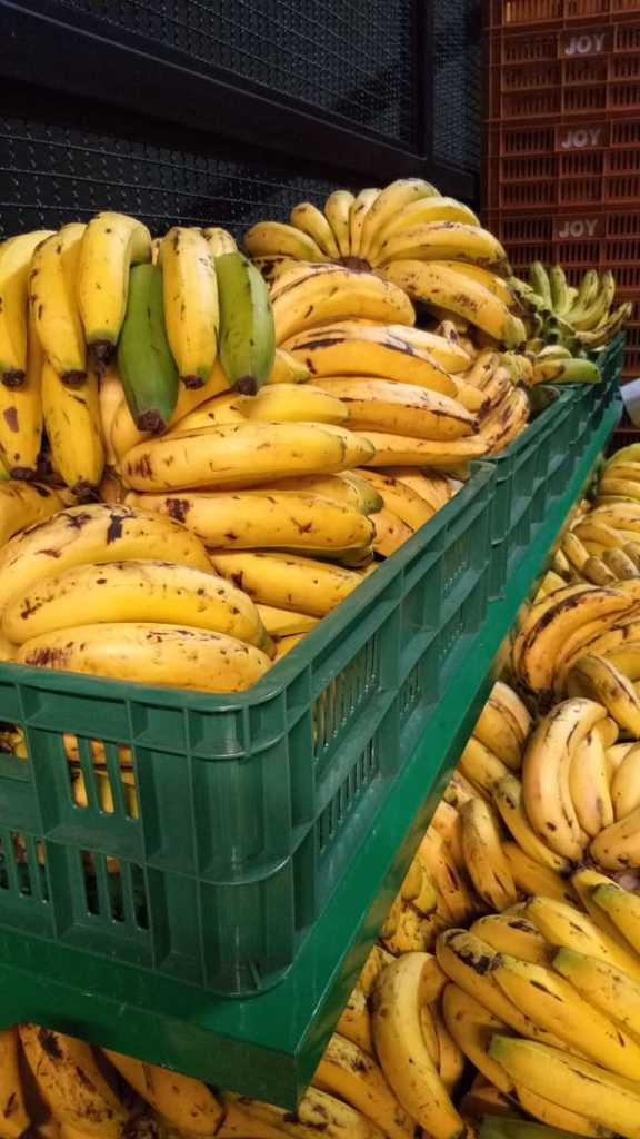 Banano corriente