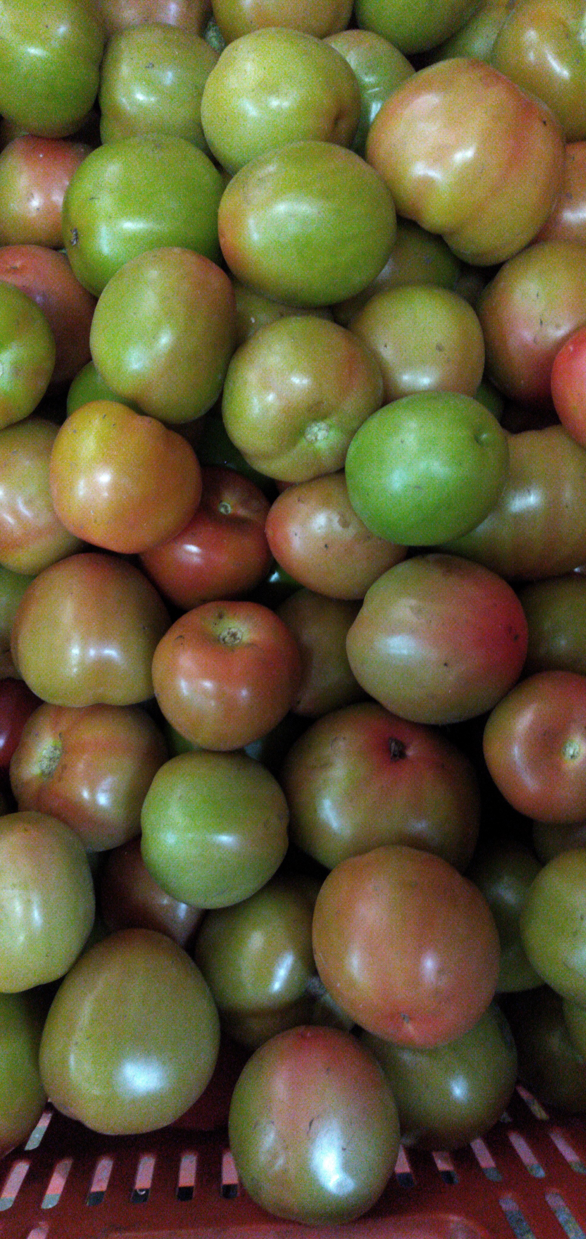 Tomate de aliño