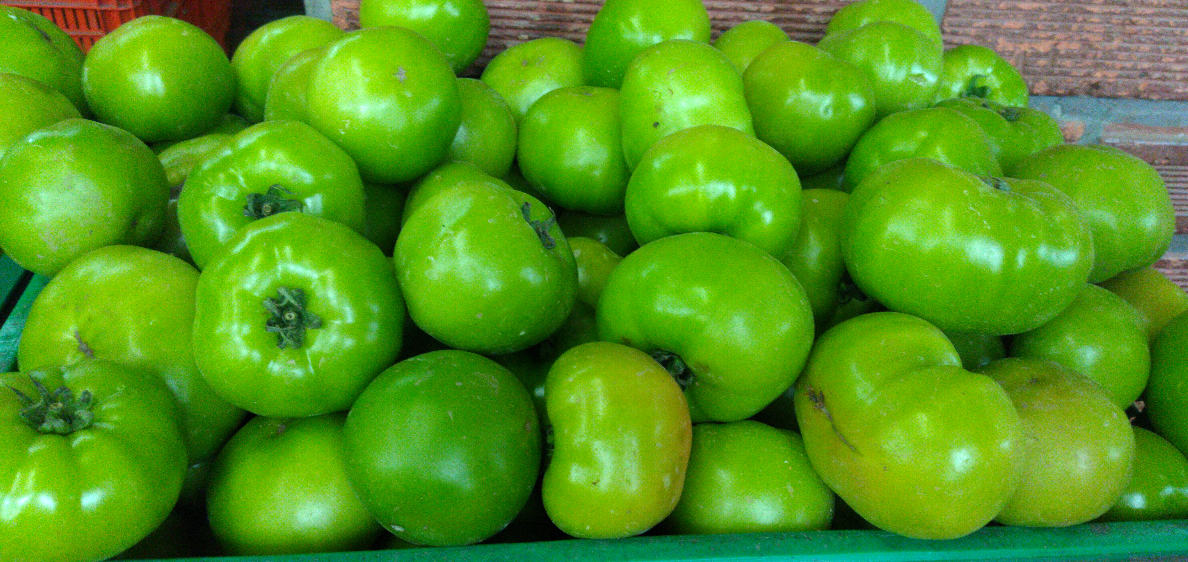 Tomate riñón
