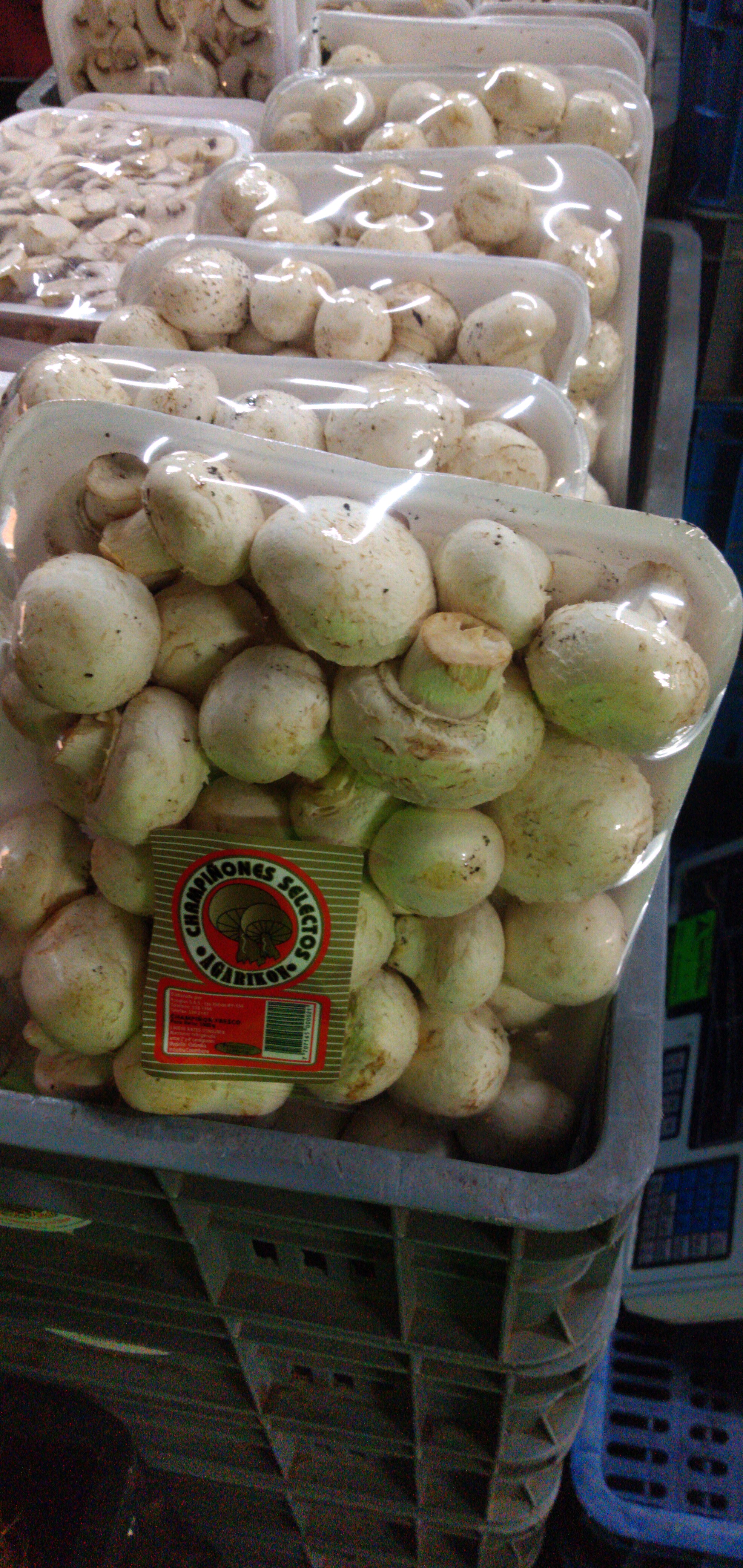 Champiñon x kilo