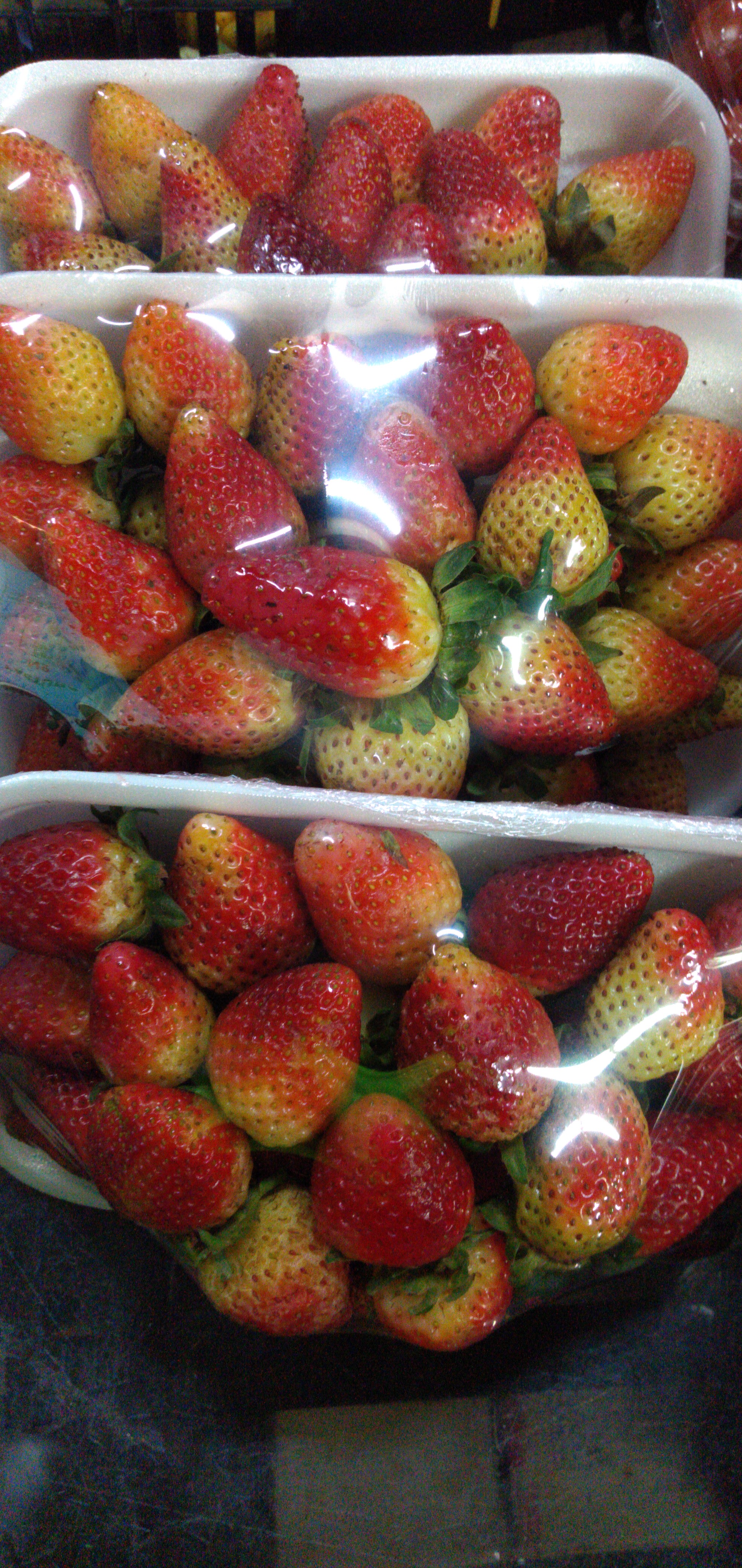 Fresa bandeja